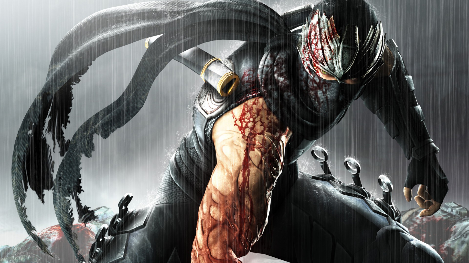 Ryu Hayabusa Ninja Gaiden 3 - HD Wallpaper 