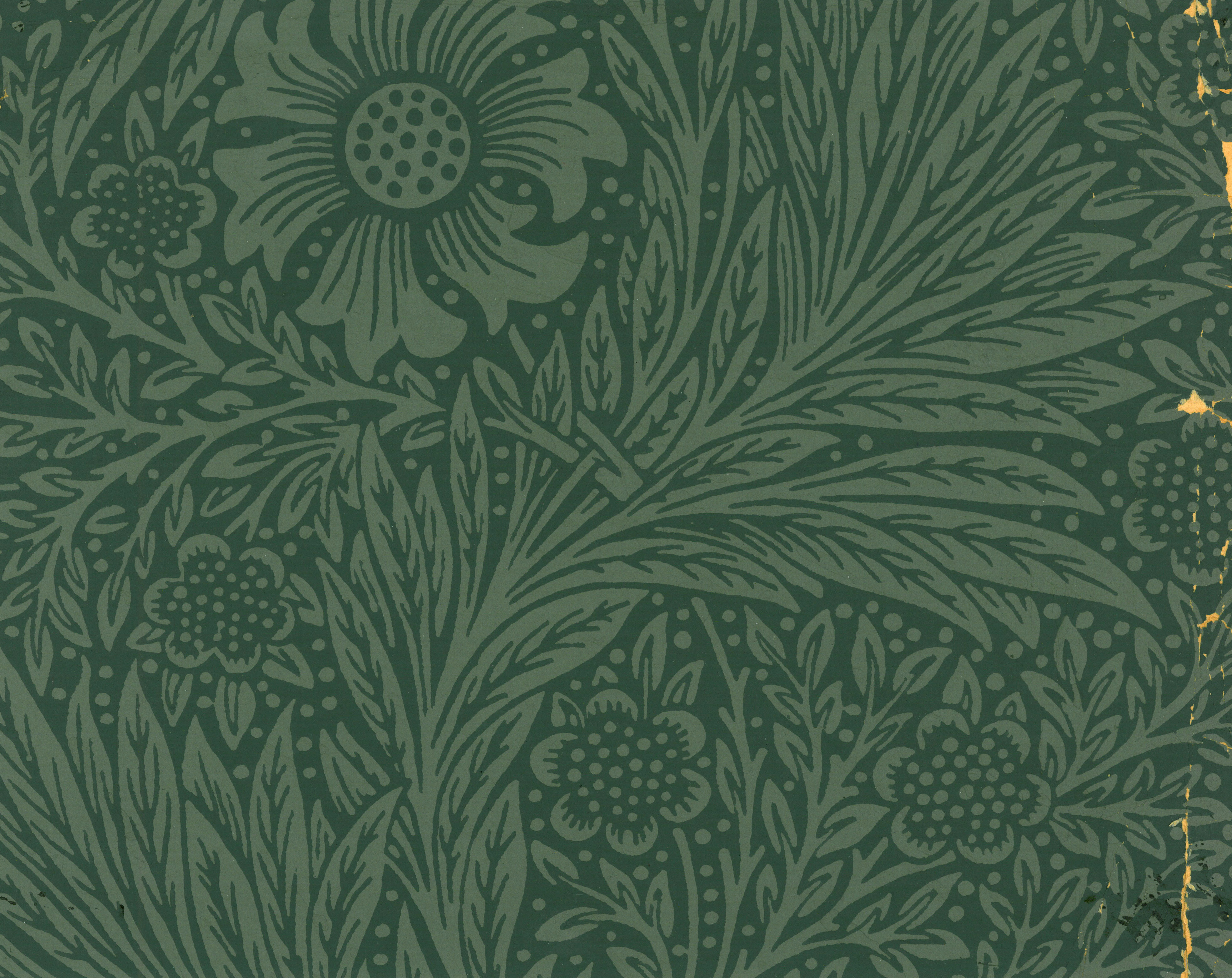 William Morris - HD Wallpaper 