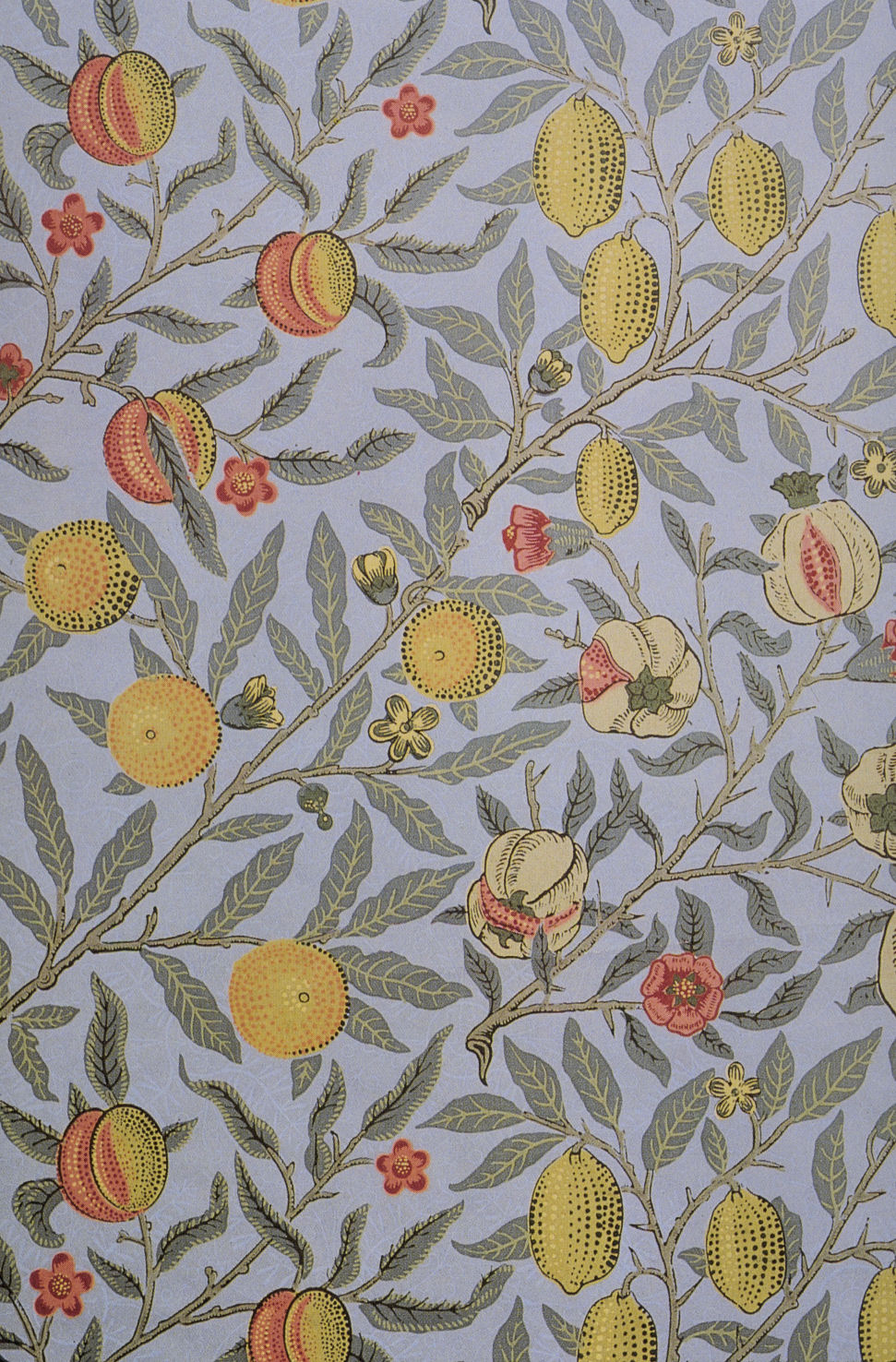 Fruit And Pomegranate Wallpaper William Morris - HD Wallpaper 