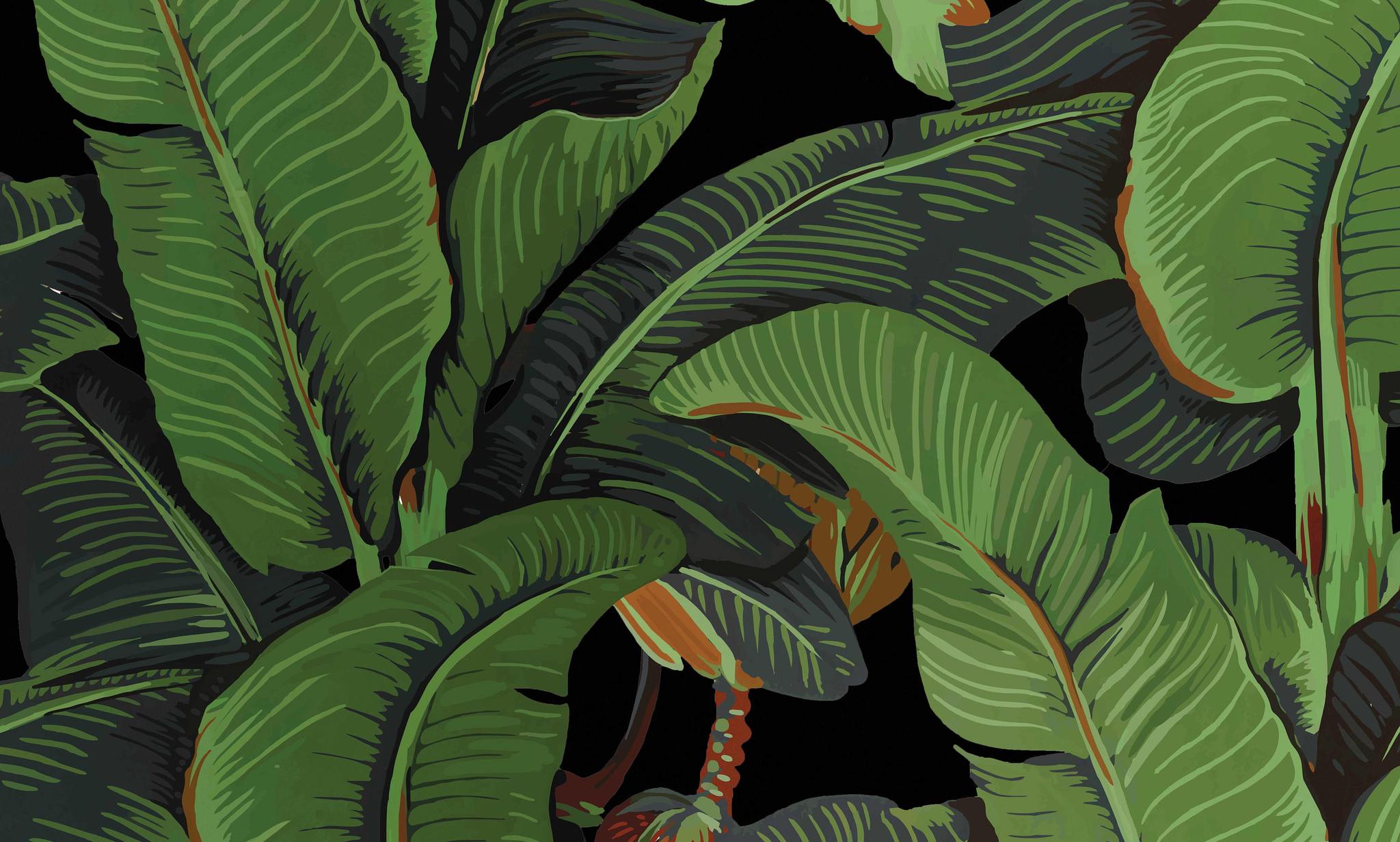 Black Banana Leaves Wallpaper 
 Data-src /full/1184539 - Tropical Wallpaper Banana Leaves - HD Wallpaper 