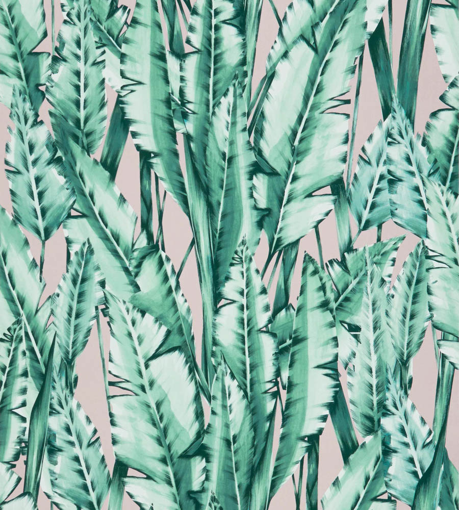Tiger Leaf Osborne And Little - HD Wallpaper 