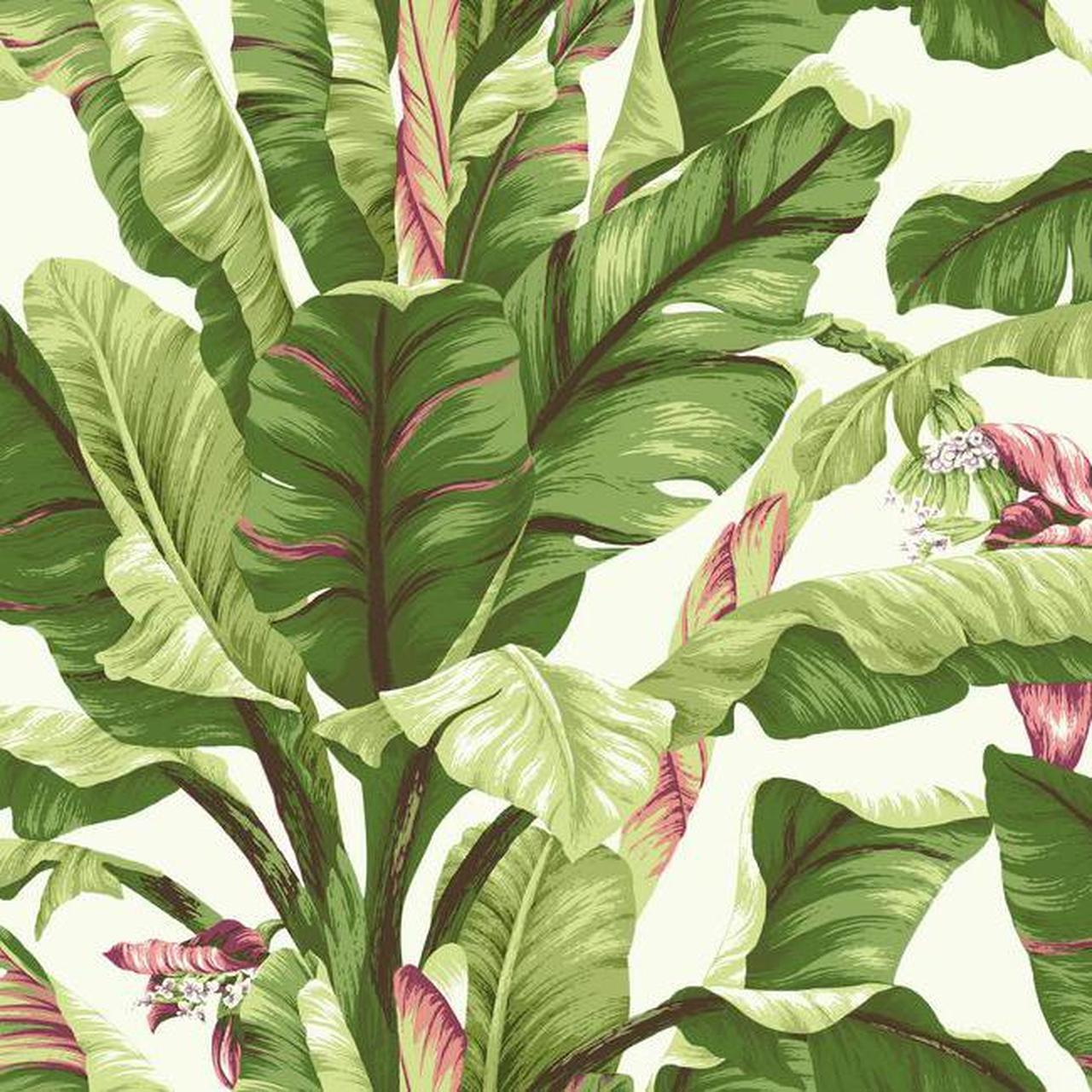 York Wallcoverings Tropics Banana Leaf - HD Wallpaper 