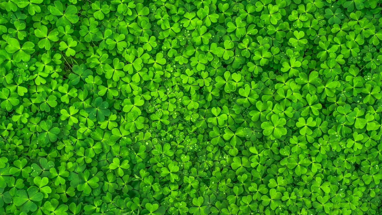 St Patrick's Day 2019 - HD Wallpaper 