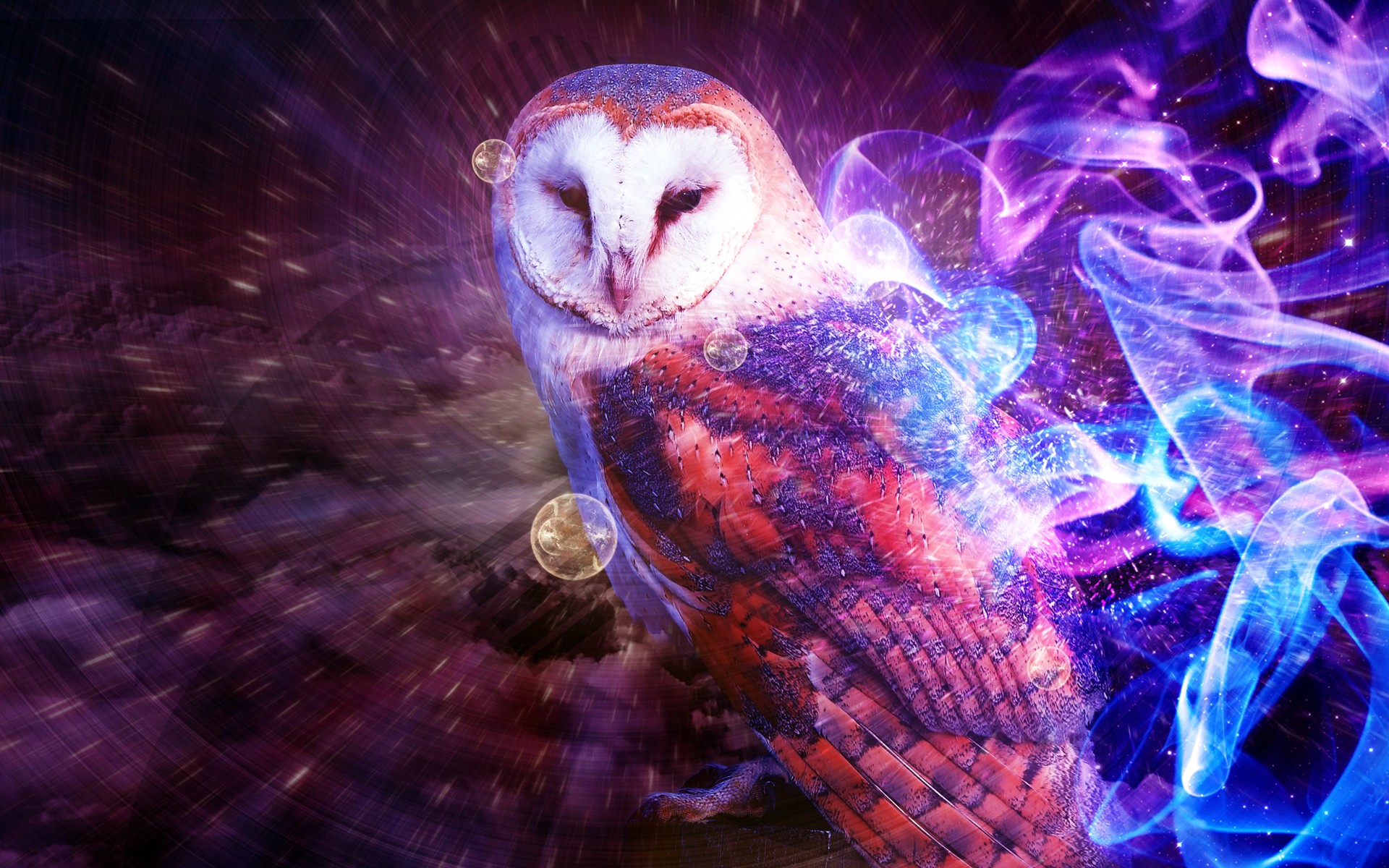 Fantasy Owl - Owl Backgrounds - HD Wallpaper 