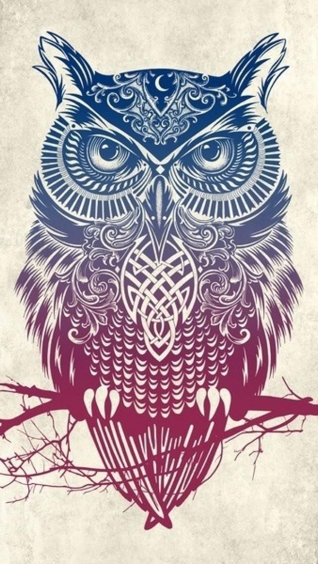 Owl Wallpaper On Pinterest - Owl Wallpaper For Iphone - 640x1136 Wallpaper  