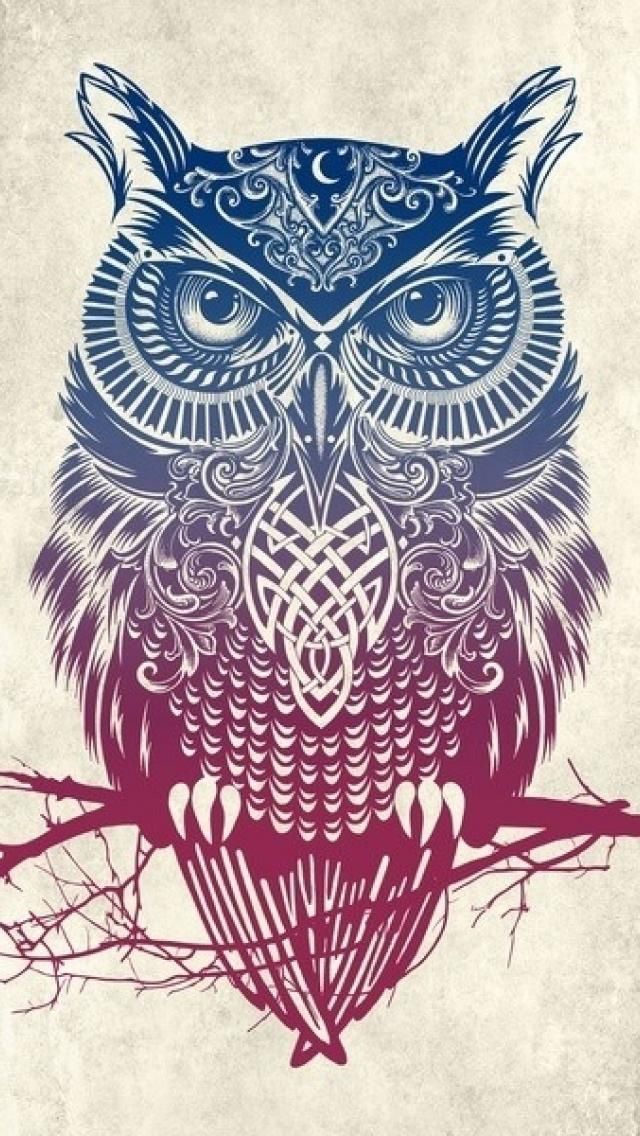 Owl Wallpaper On Pinterest - Owl Wallpaper For Iphone - HD Wallpaper 