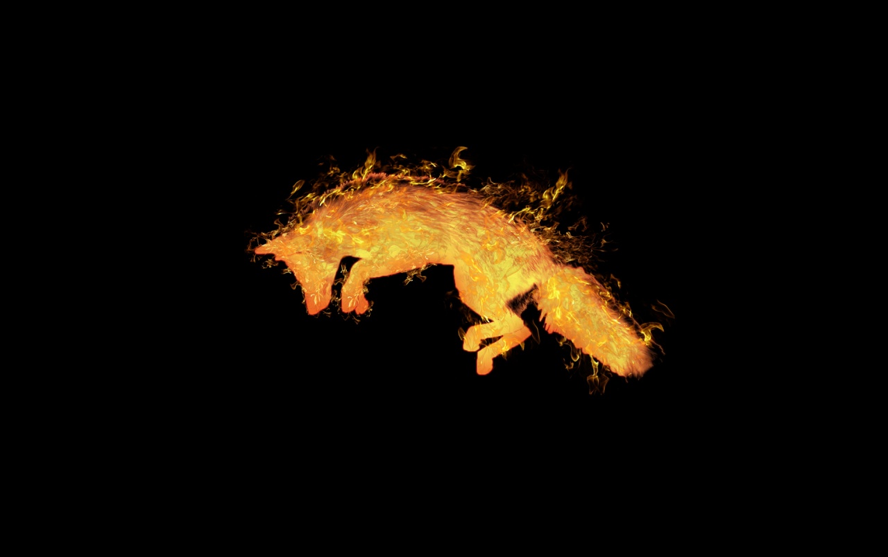 Fire Fox Wallpapers - Fox Wallpaper Pc - HD Wallpaper 