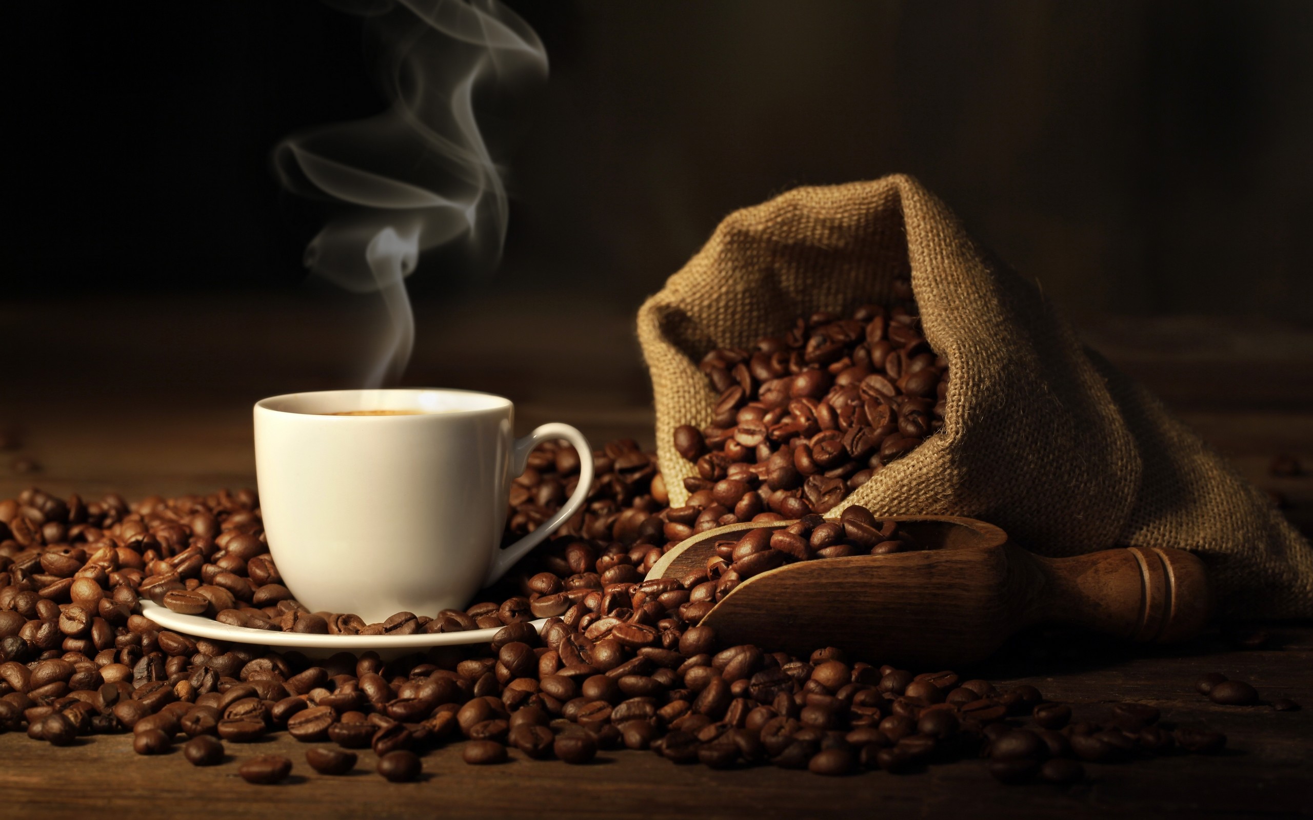 2560x1600, Hot Coffee Cup Grains Hd Wallpaper 
 Data - Coffee Wallpaper Hd - HD Wallpaper 