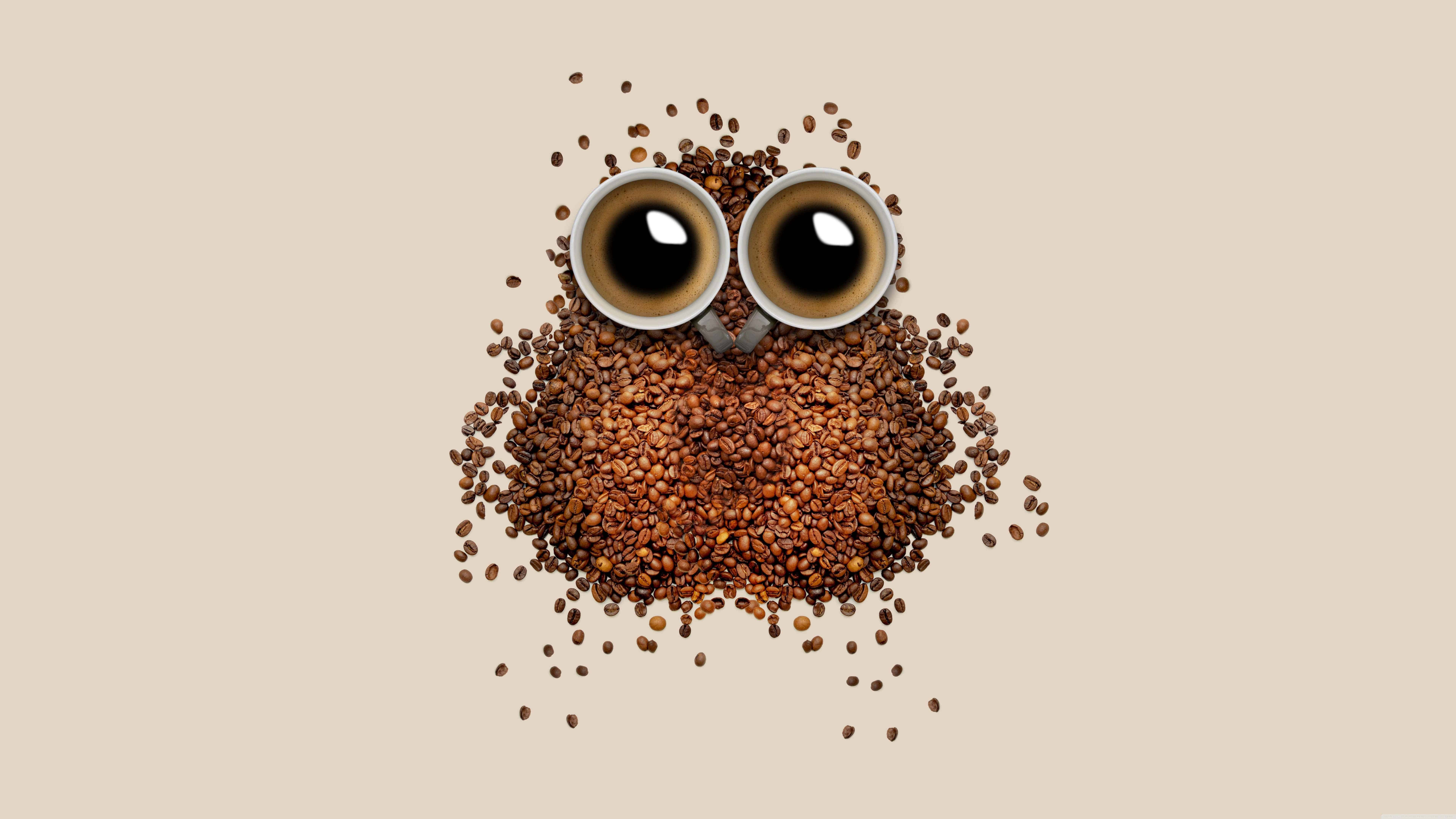 Coffee Bean Owl Uhd 8k Wallpaper - Hd Coffee Wallpaper For Macbook Air - HD Wallpaper 