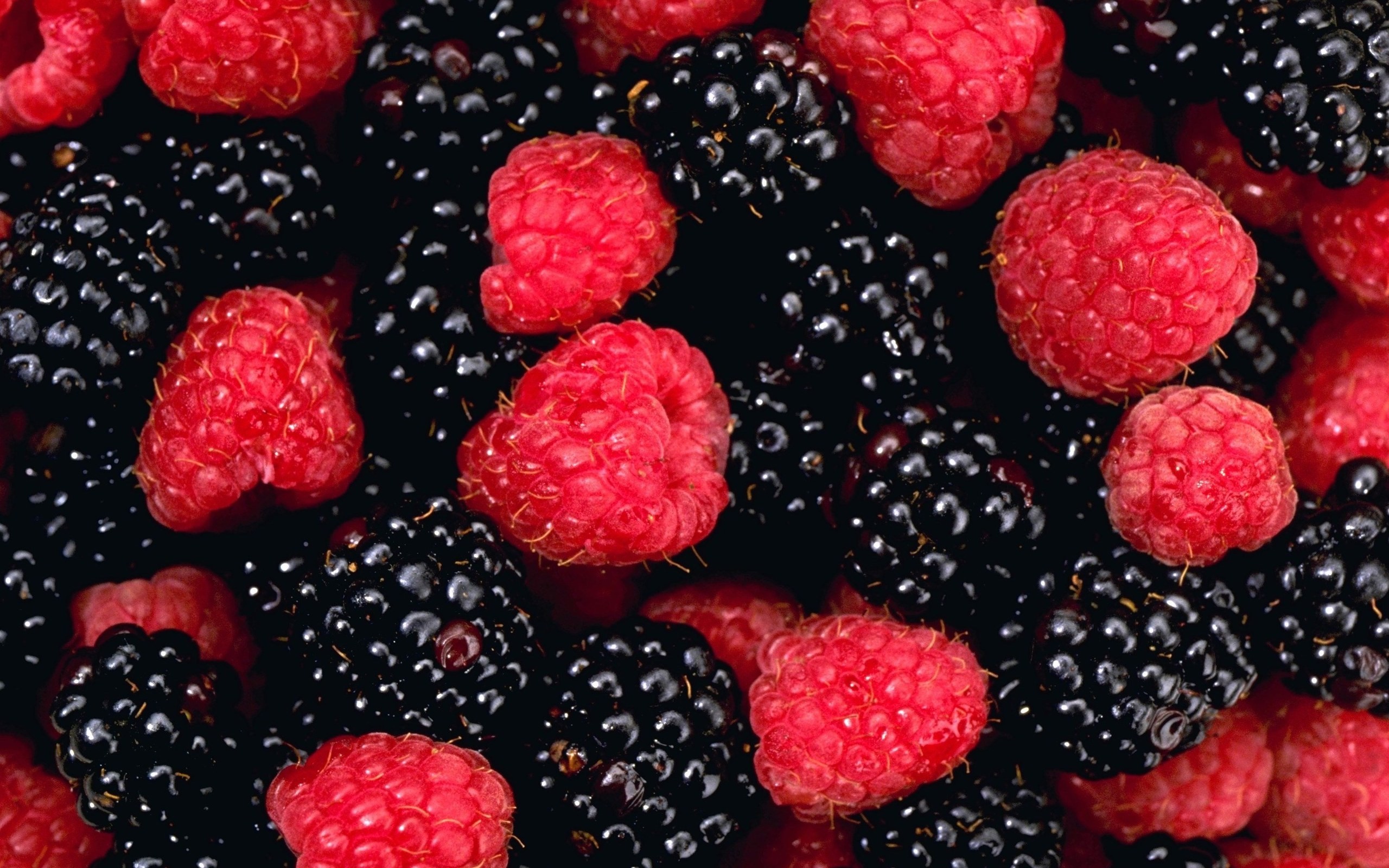 Raspberry Blackberry - HD Wallpaper 