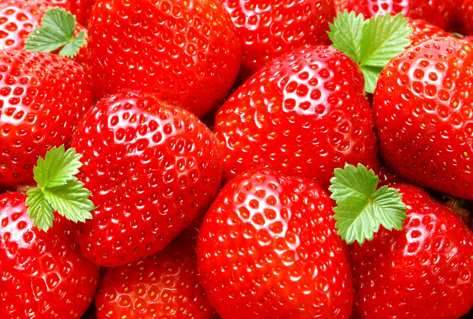 All Fruit Hd Wallpaper 39 Page 3 Of - Fruits Wallpaper Hd Download - 1600x1080 Wallpaper All Fruit Hd Wallpaper 39 Page 3 Of - Fruits Wallpaper Hd Download - 1600x1080 Wallpaper