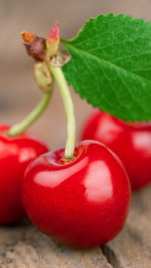 Czereśnie Tapeta - HD Wallpaper 