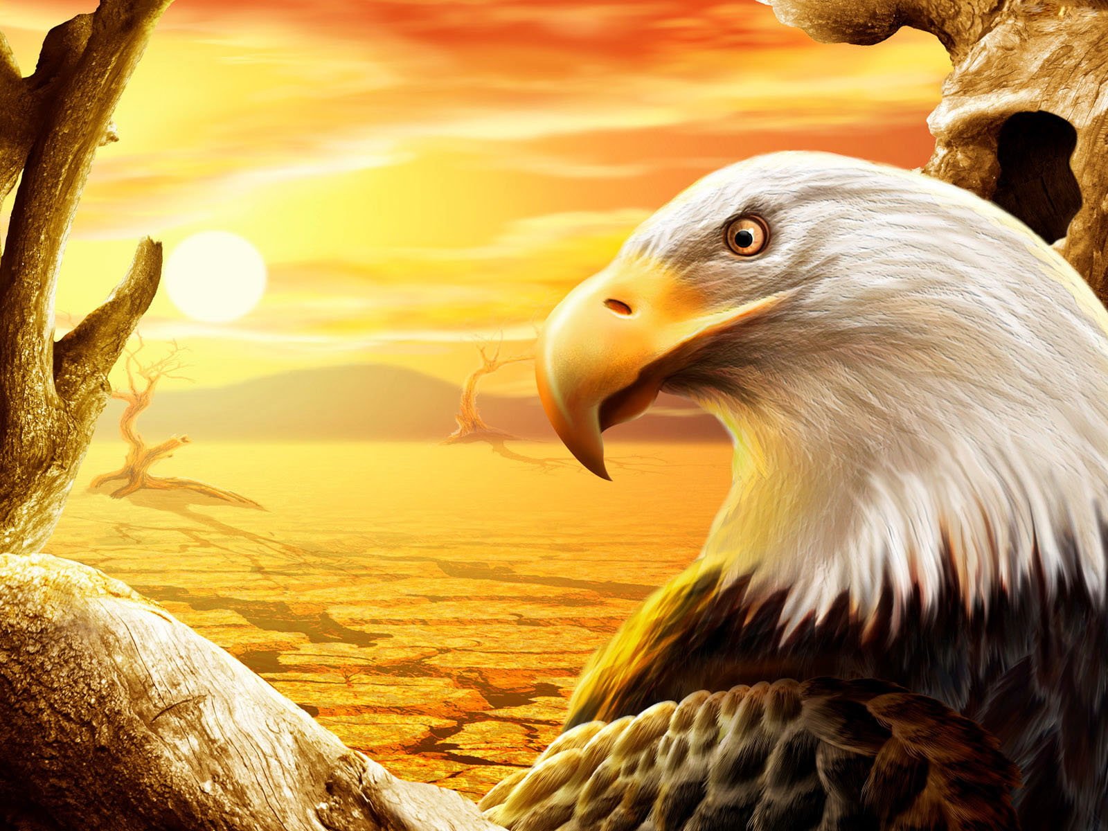 Best Eagle Wallpaper Hd - HD Wallpaper 