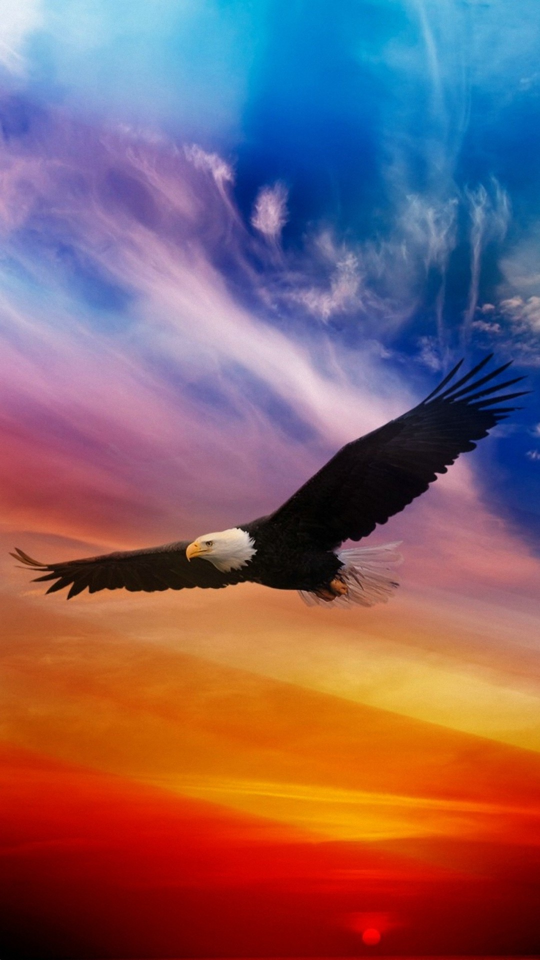Eagle Wallpaper Iphone Hd Resolution - Eagle Wallpaper Hd - HD Wallpaper 