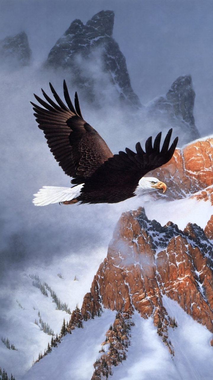 Bald Eagle Wallpaper Iphone - HD Wallpaper 