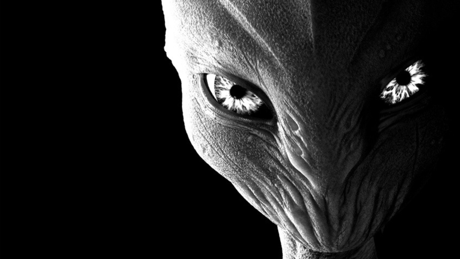 Alien Wallpaper Hd - Aliens Hd - HD Wallpaper 