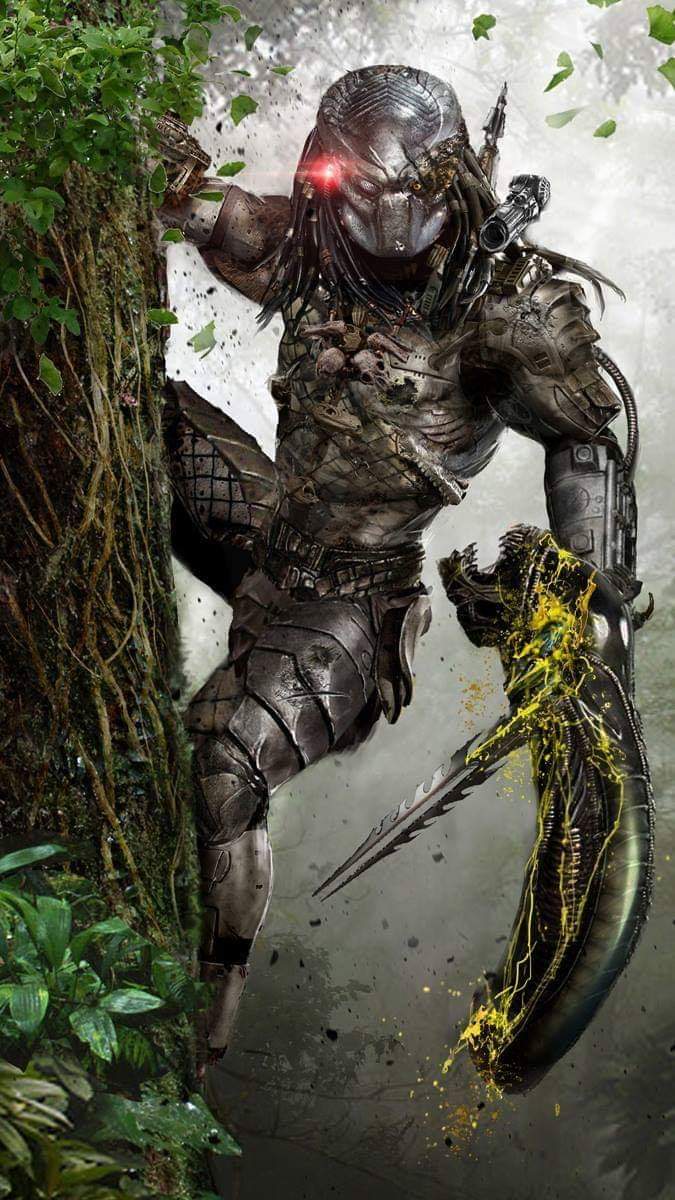 Predator Hunting Grounds Game - HD Wallpaper 