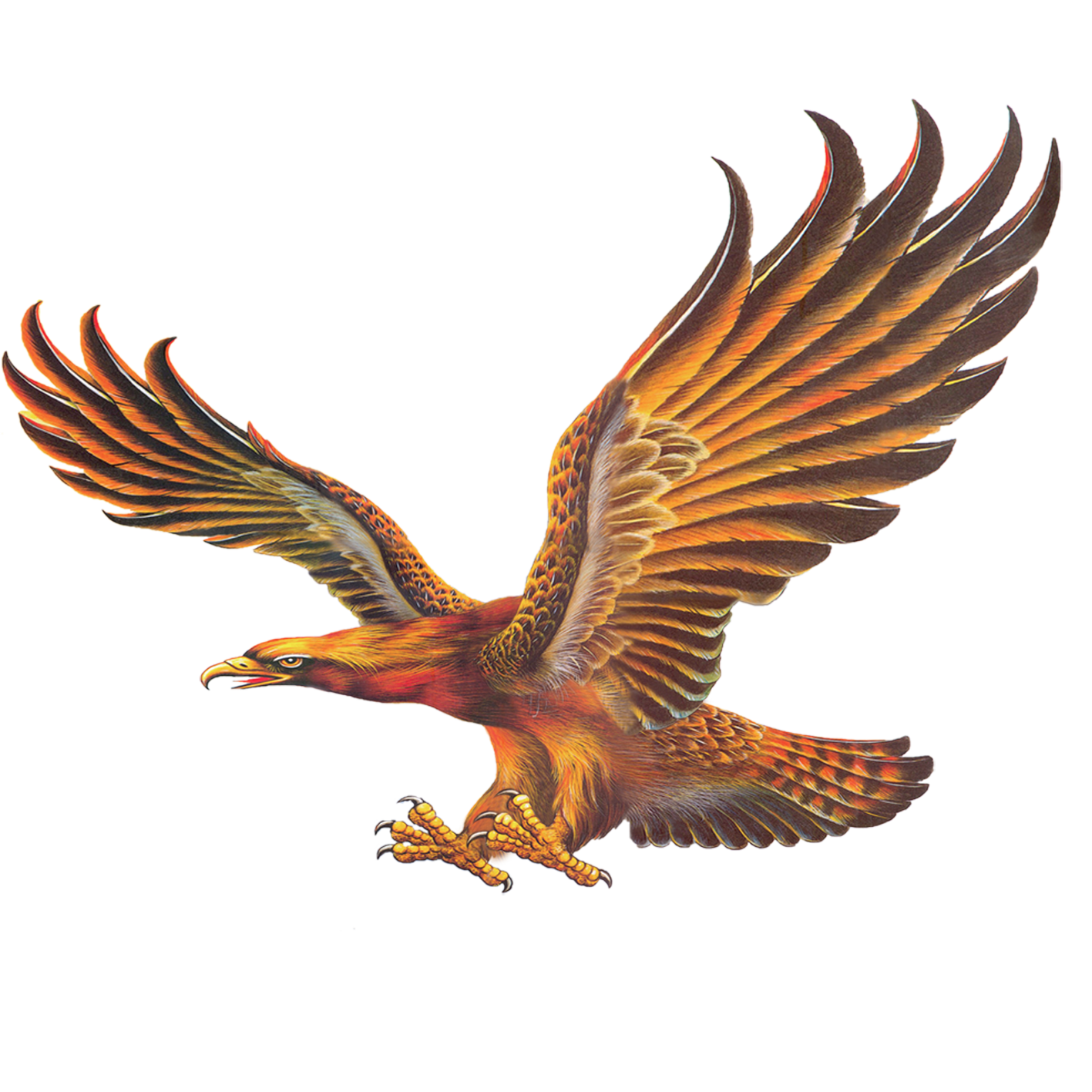 Clip Art Chinese Painting Mural Transprent - Flying Eagle Oil Painting - HD Wallpaper 