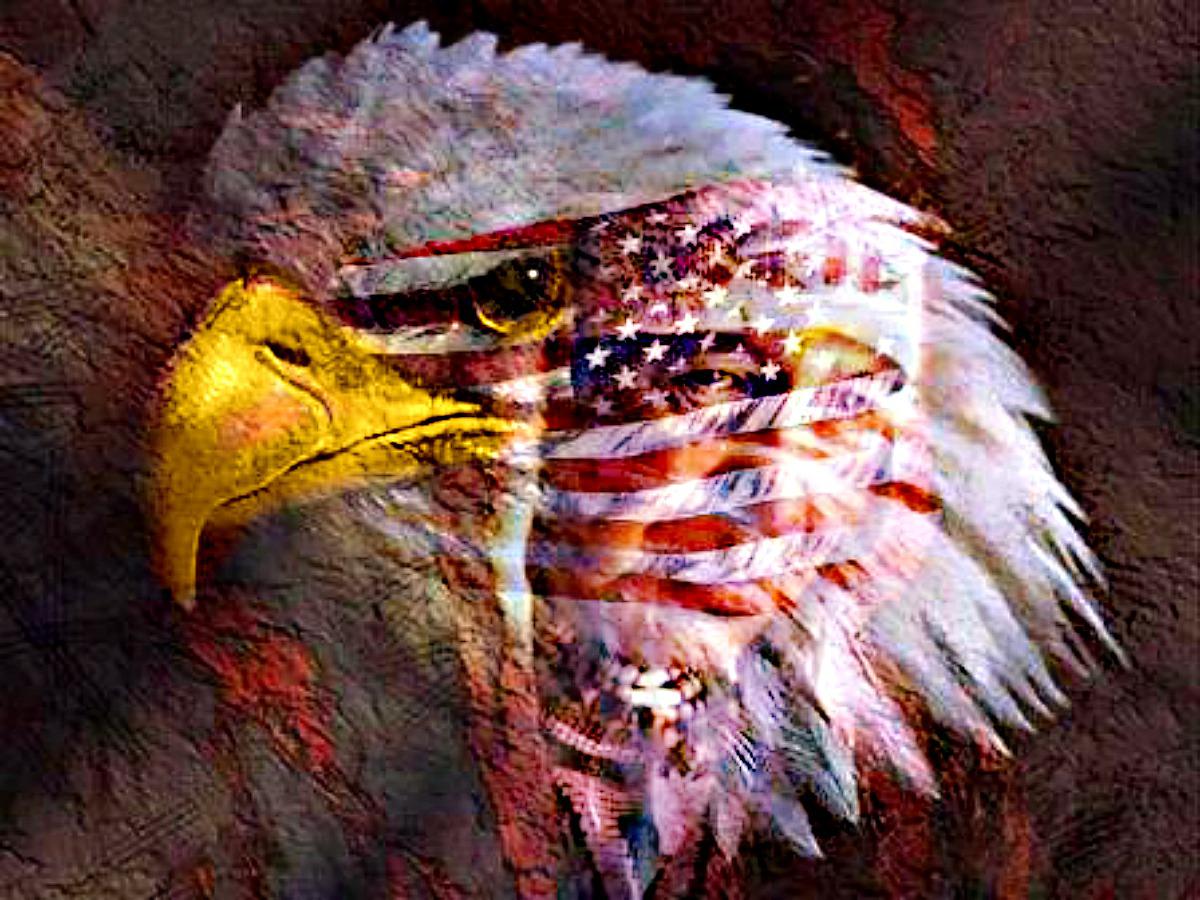 American, Eagle, Memorial, Day, Wallpaper, Widescreen, - Happy 4th Of July Eagle - HD Wallpaper 