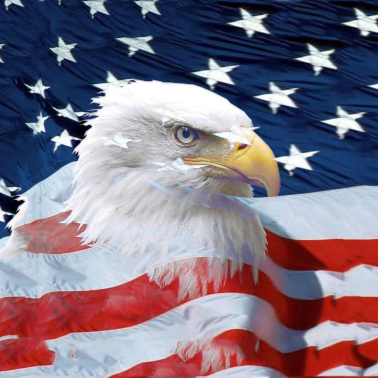 American Eagle Wallpaper - Eagle Happy Fourth Of July - HD Wallpaper 