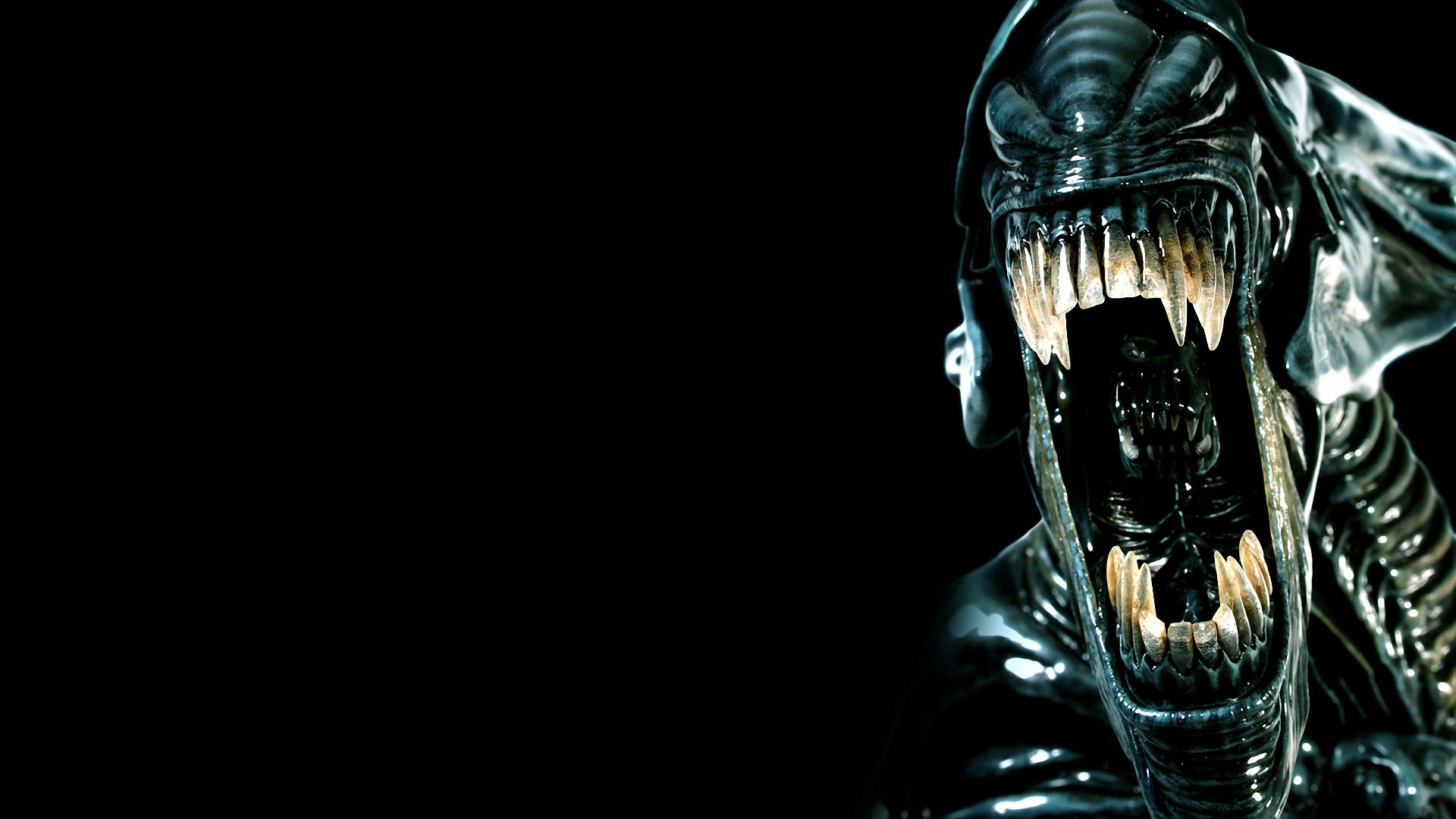 Wallpaper - HD Wallpaper 