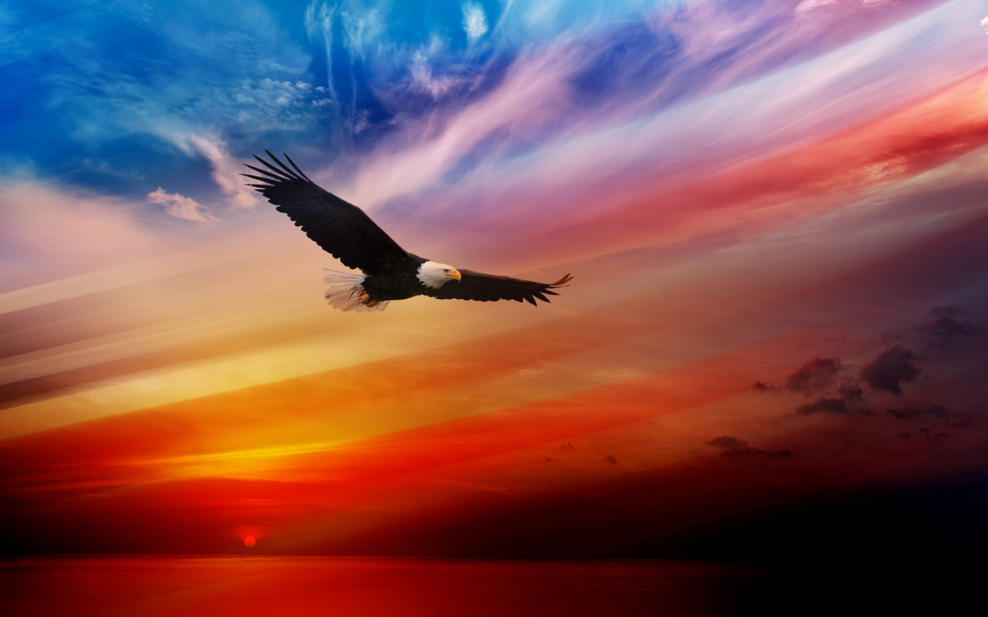American Eagle Wallpaper Free Download - Mobile Wallpapers Hd Eagle - HD Wallpaper 