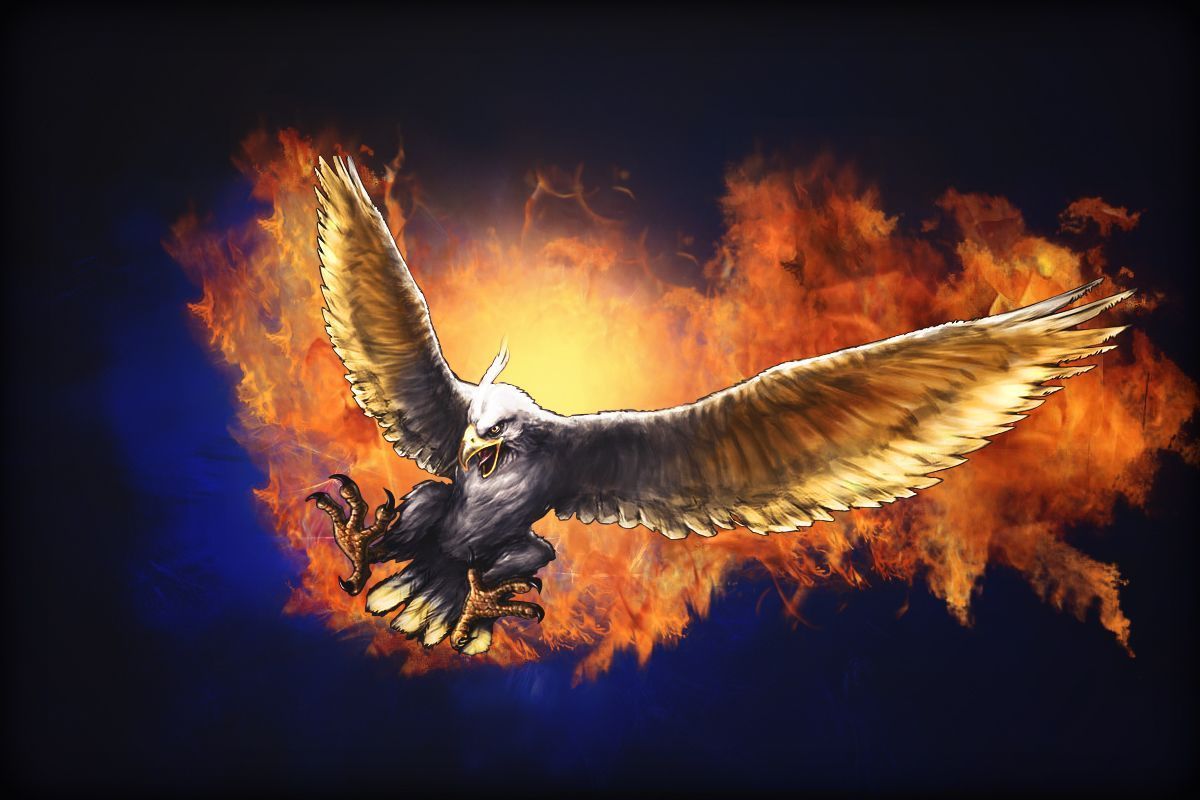 Quality Cool Eagle Wallpapers For Pc & Mac, Tablet, - Eagle Wallpaper 3d - HD Wallpaper 