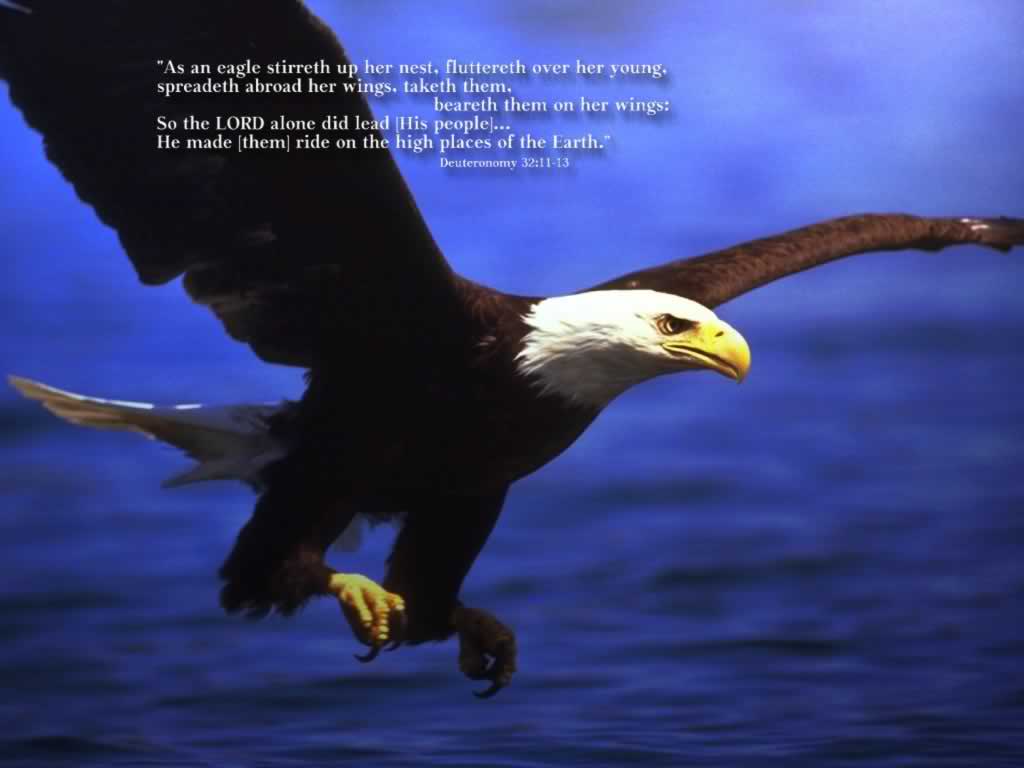 11-13 Like An Eagle Christian Wallpaper Free Download - Eagle Power - HD Wallpaper 
