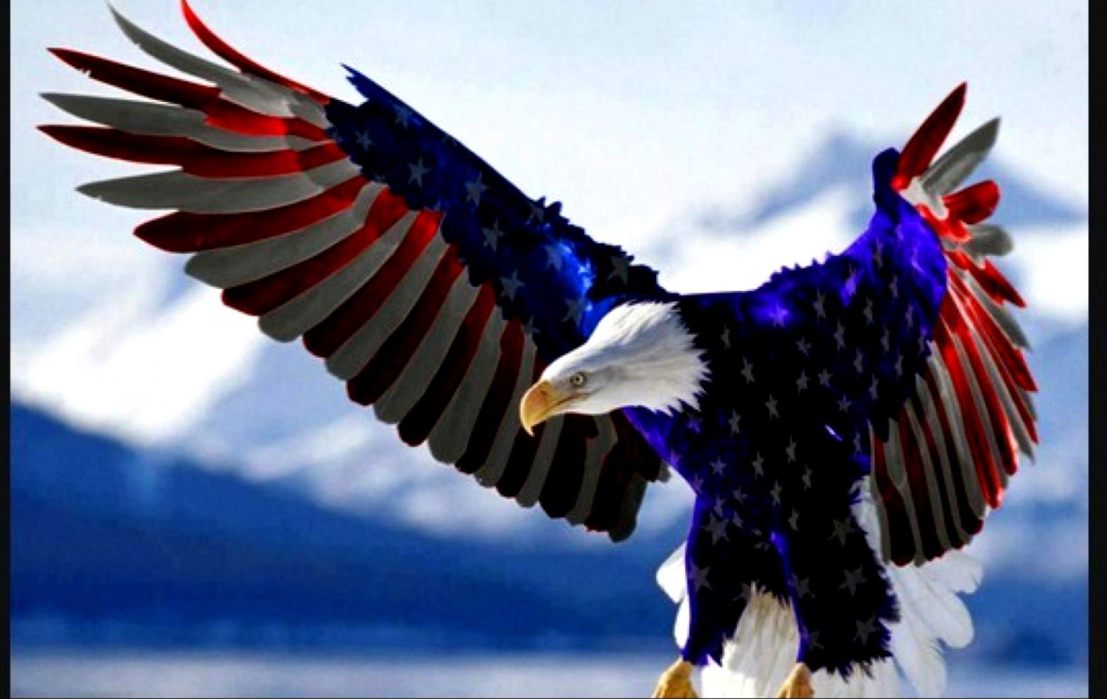 American Flag Eagle Wallpaper Hd Wallpapers Gallery - High Resolution American Flag Background - HD Wallpaper 