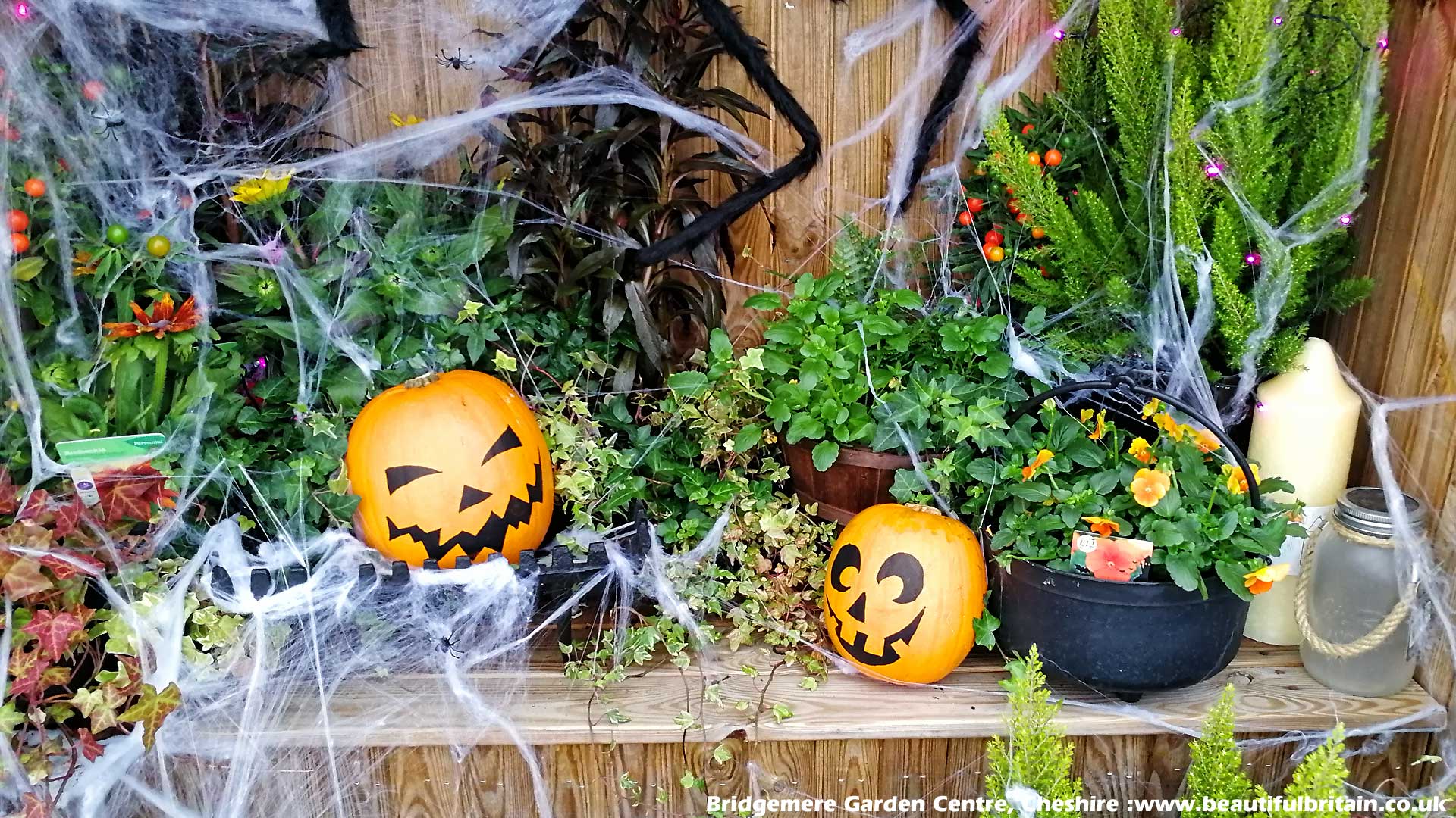 Jack-o'-lantern - HD Wallpaper 