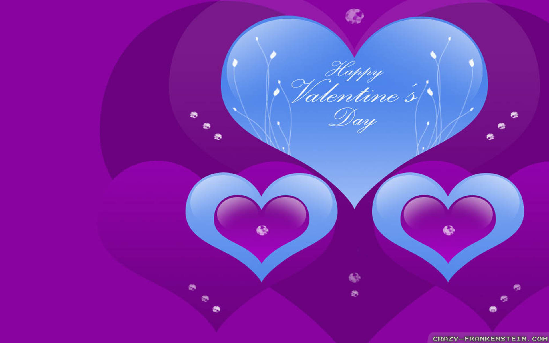 Violet - HD Wallpaper 