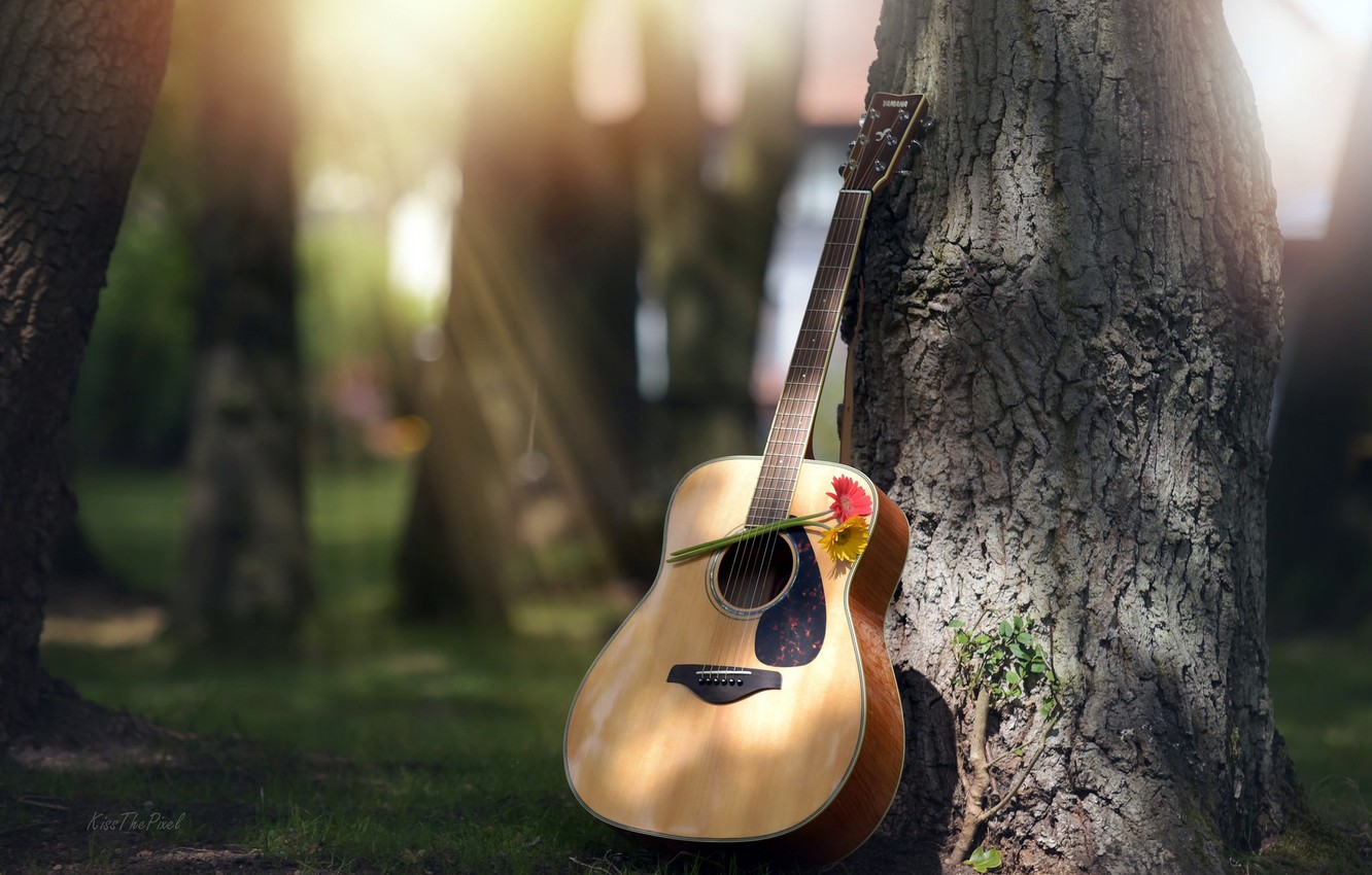 Photo Wallpaper Flowers, Tree, Guitar - Guitar - HD Wallpaper 