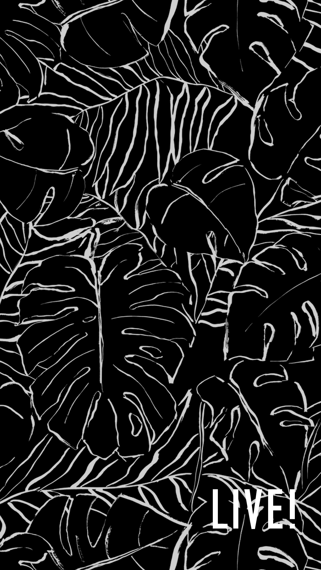 Whallpaper Celular - HD Wallpaper 