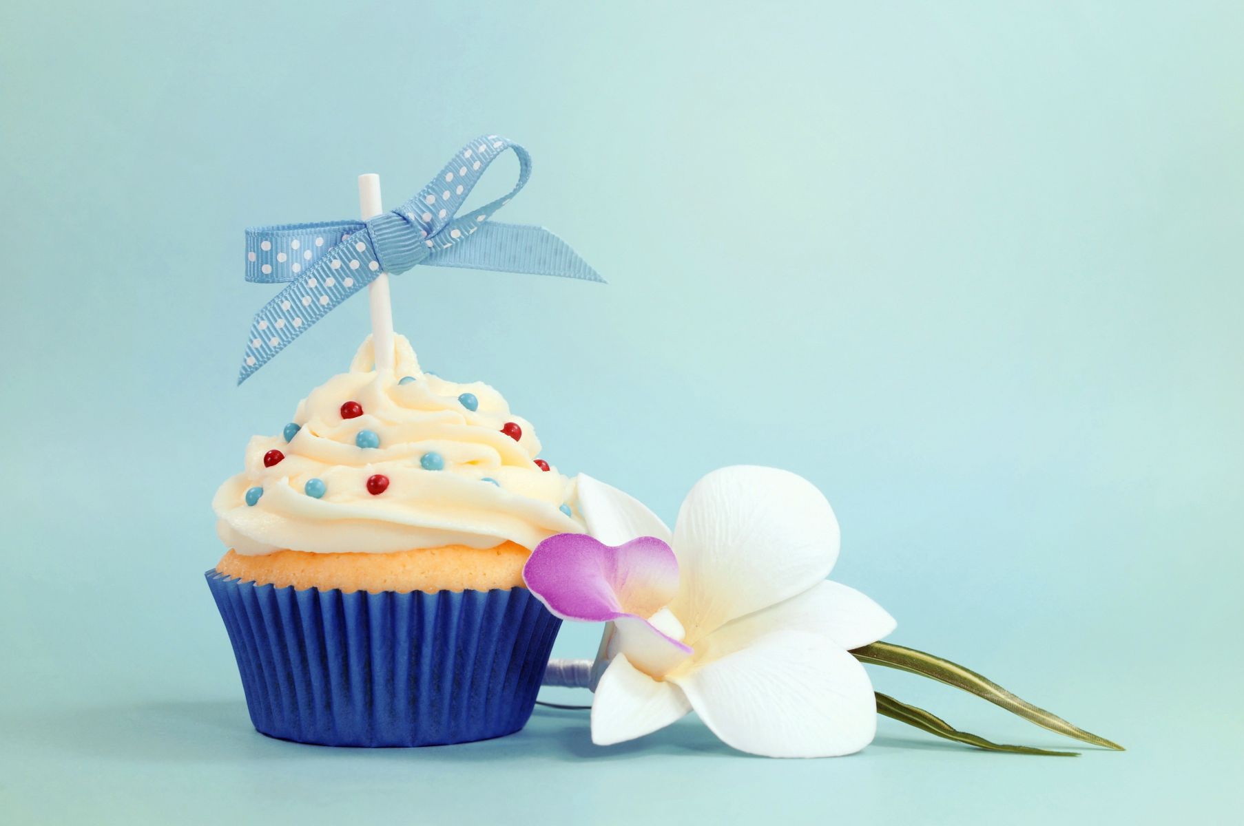 Baby Cupcake Birthday Bow Dessert Abstract Hd Wallpaper - Happy Birthday English Status - HD Wallpaper 