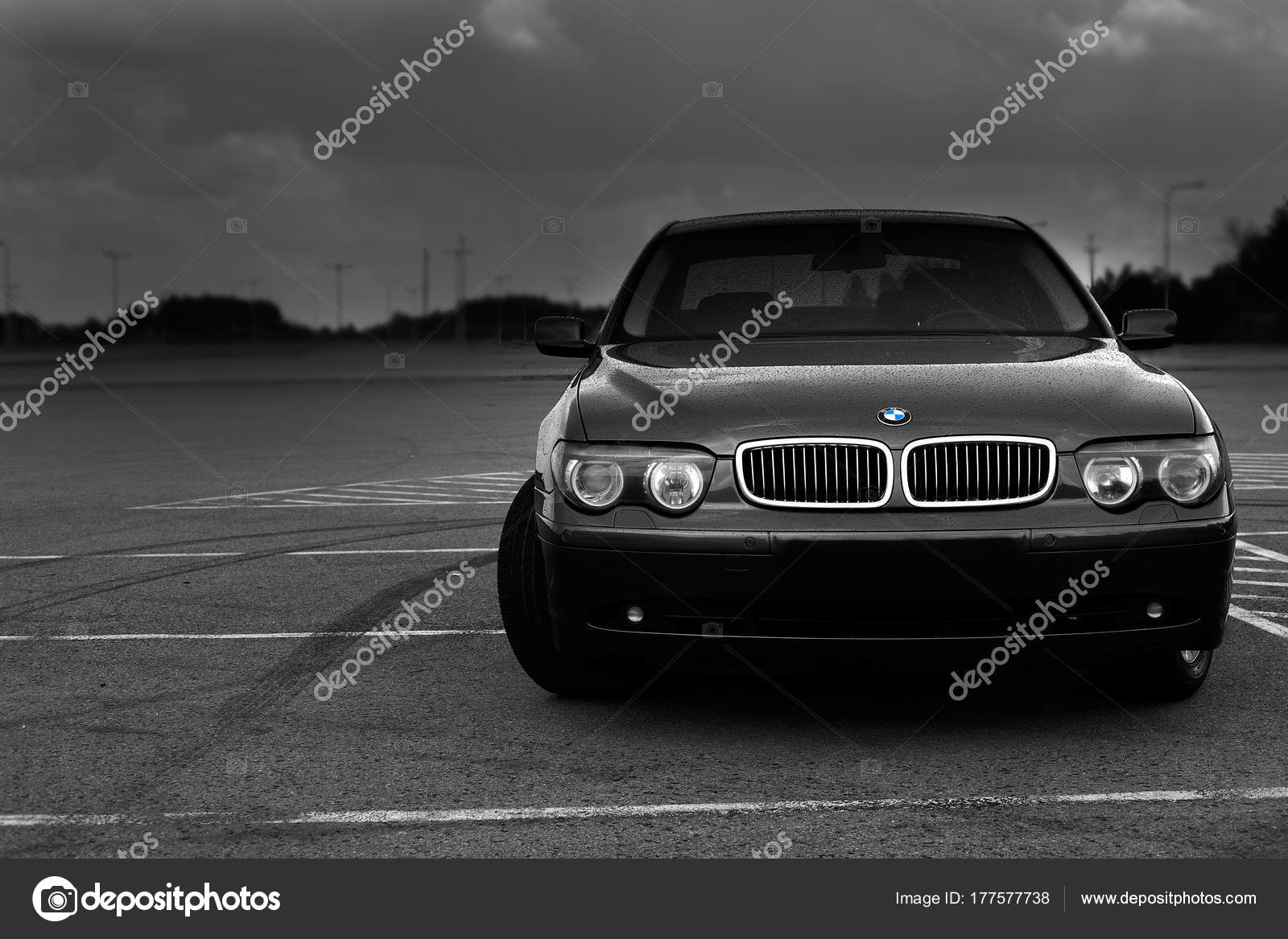 Chameleon In A Tree Branch - HD Wallpaper 