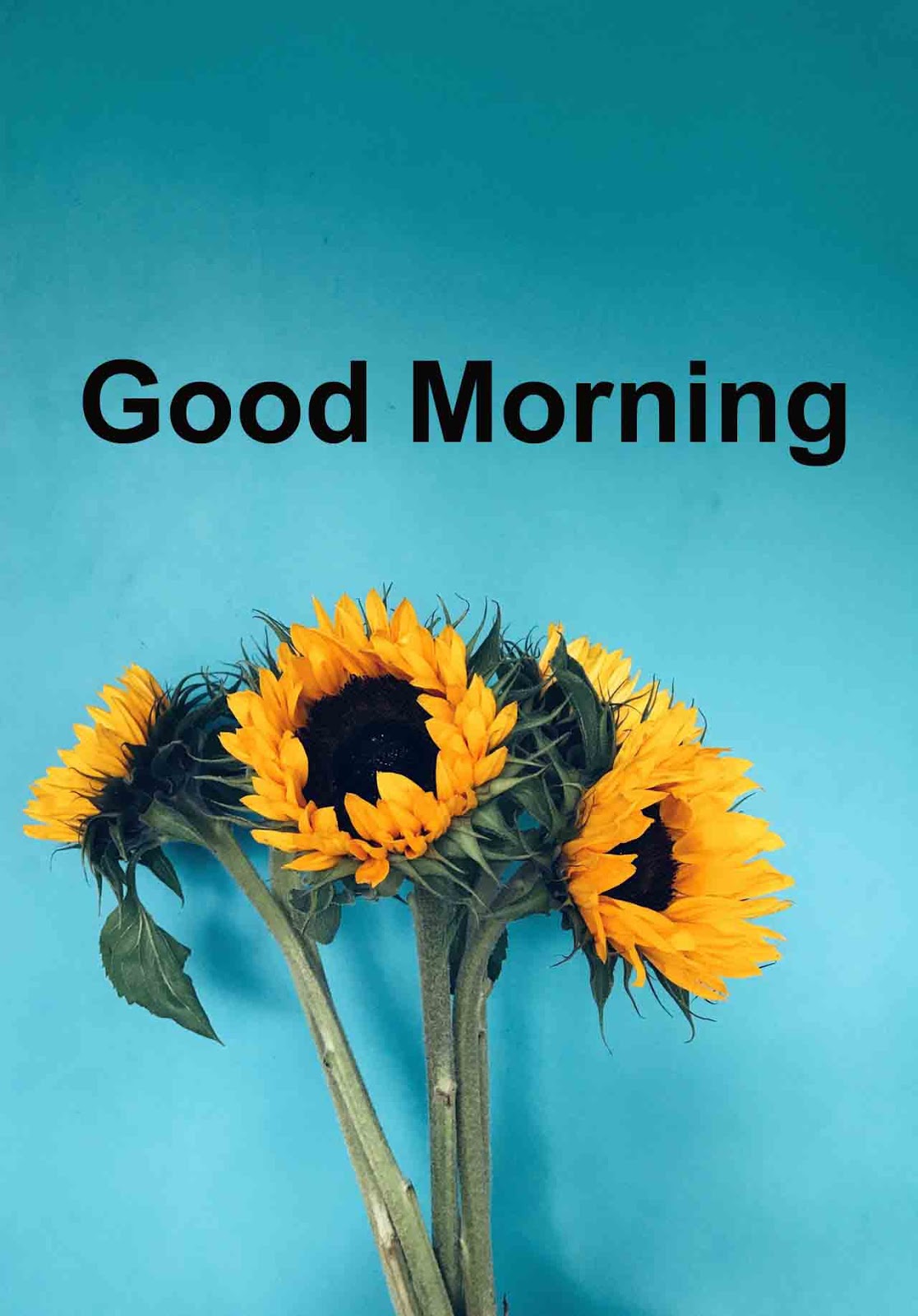 Good Morning Images - Your The Reason I M Smiling Again - HD Wallpaper 