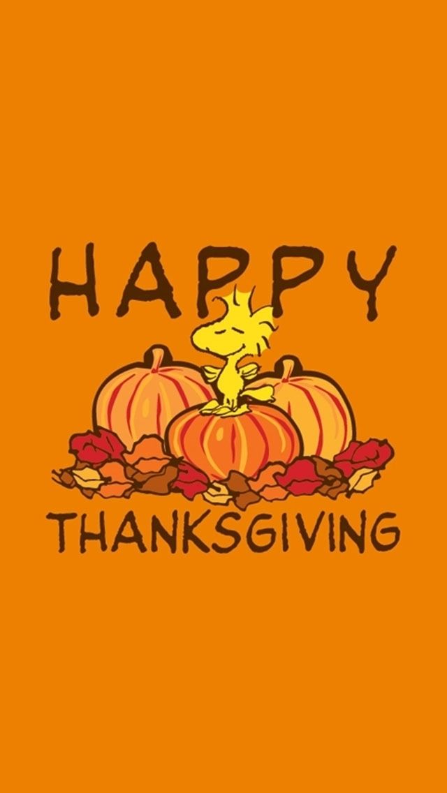 Thanksgiving Background Images For Phone - 640x1136 Wallpaper 