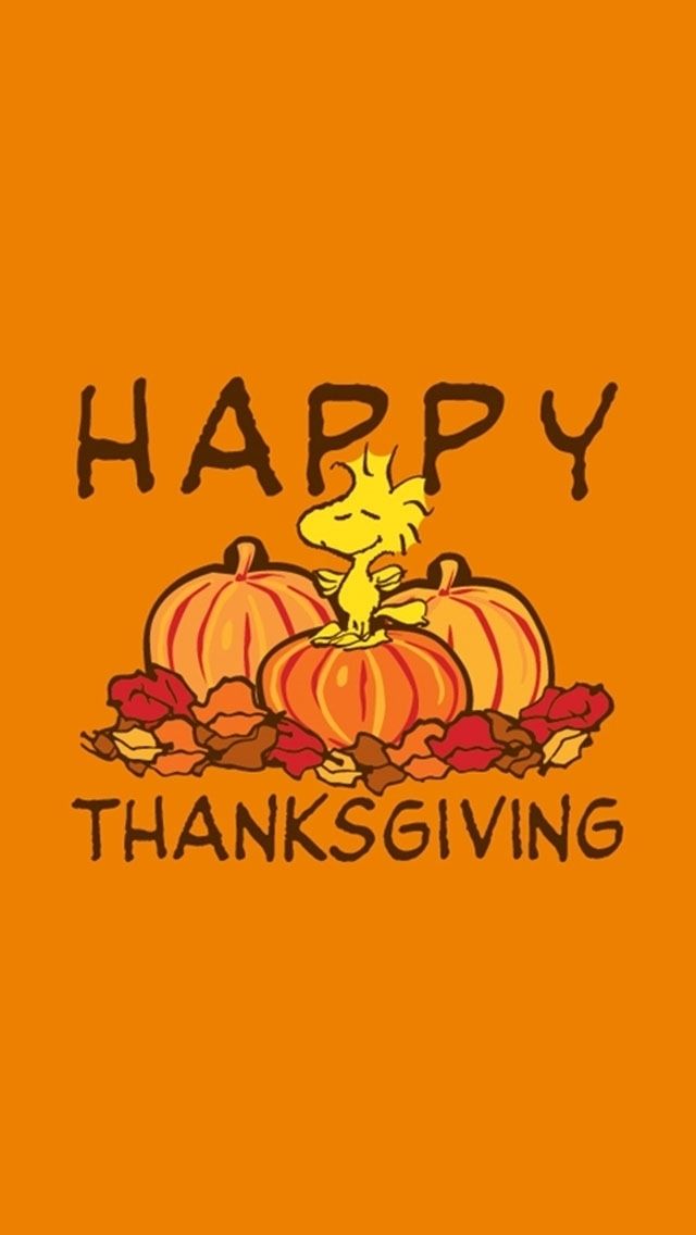 Thanksgiving Background Images For Phone - HD Wallpaper 