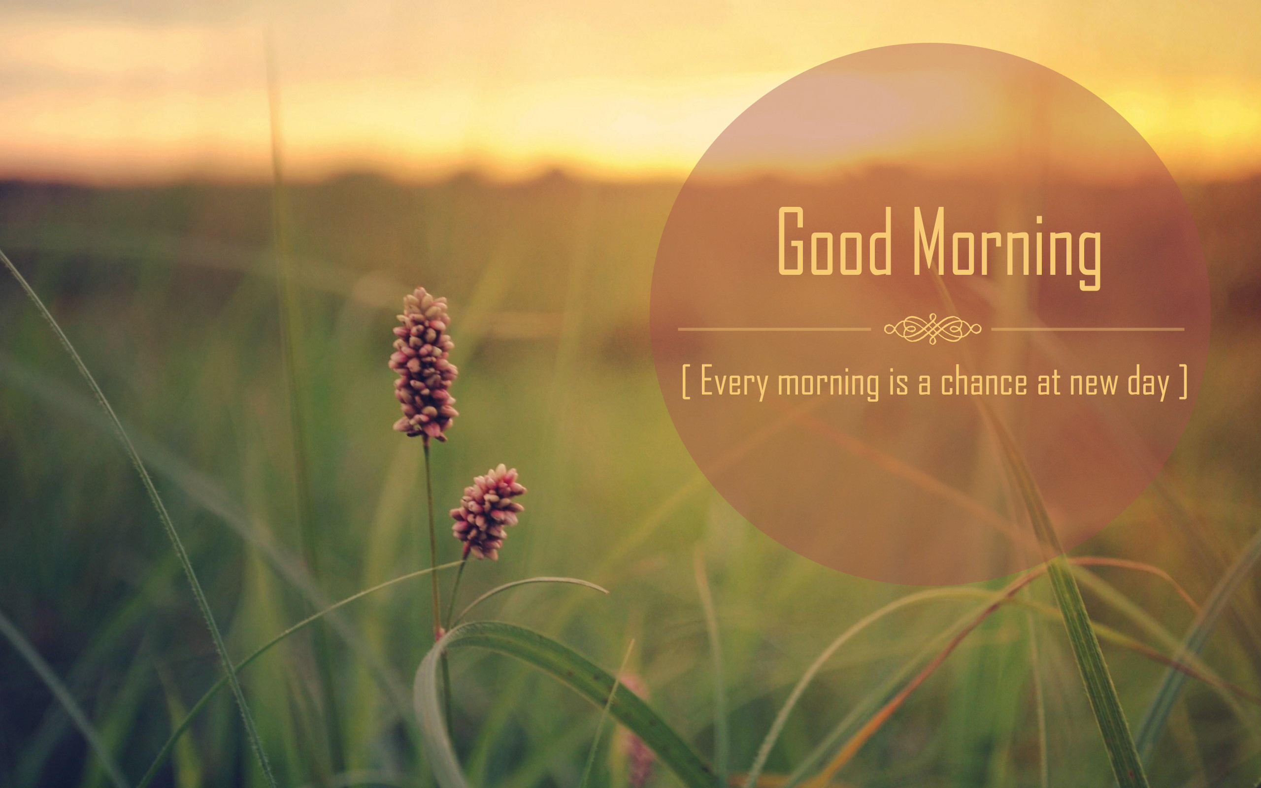 Good Morning Small Quotes - HD Wallpaper 