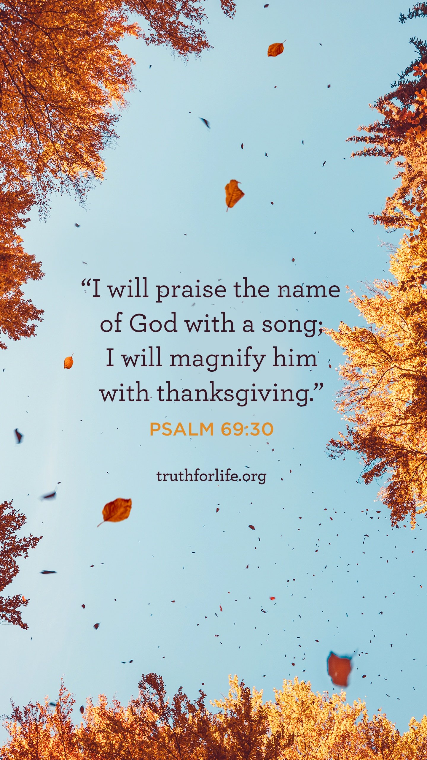 Thanksgiving Wallpaper Phone - HD Wallpaper 