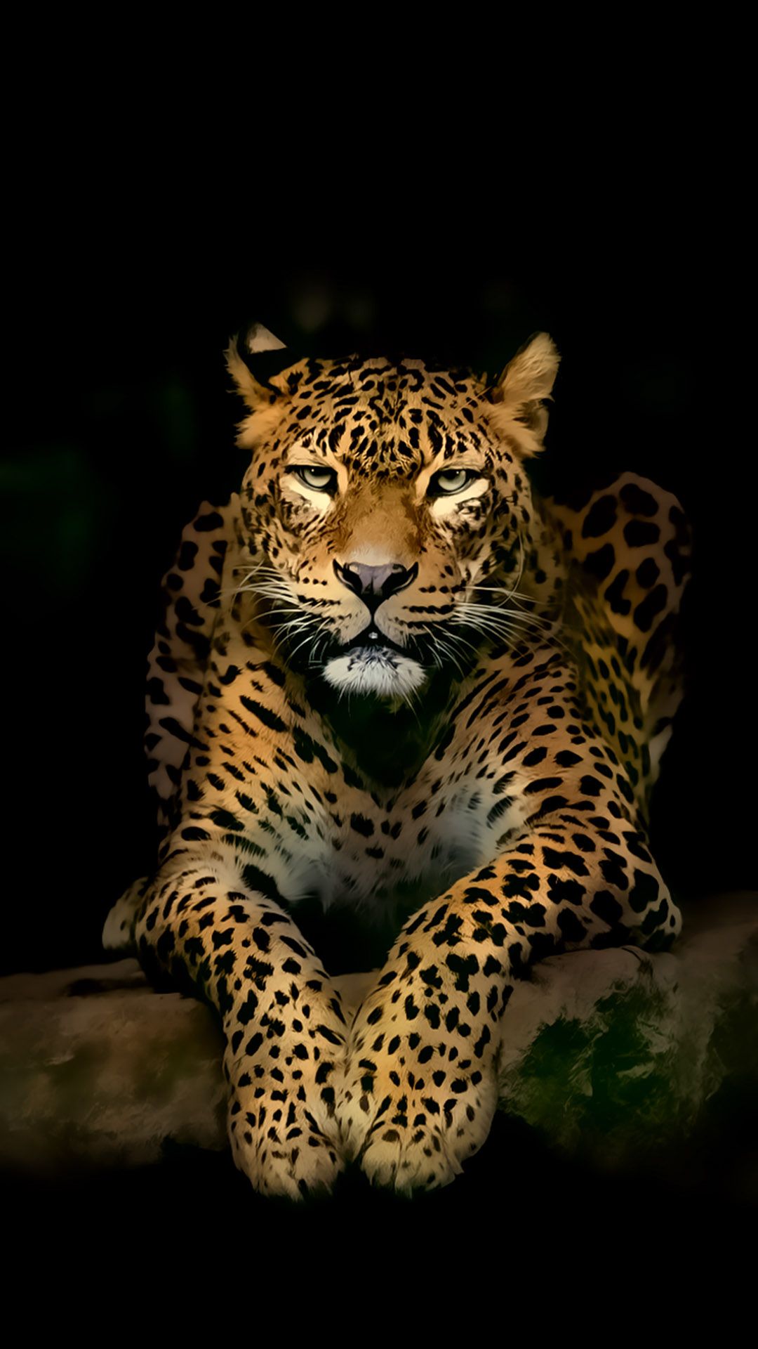 Serious Leopard 3d Spots Illustration Wild Animal Android - Ultra Hd 4k  Wallpaper For Mobile - 1080x1920 Wallpaper 