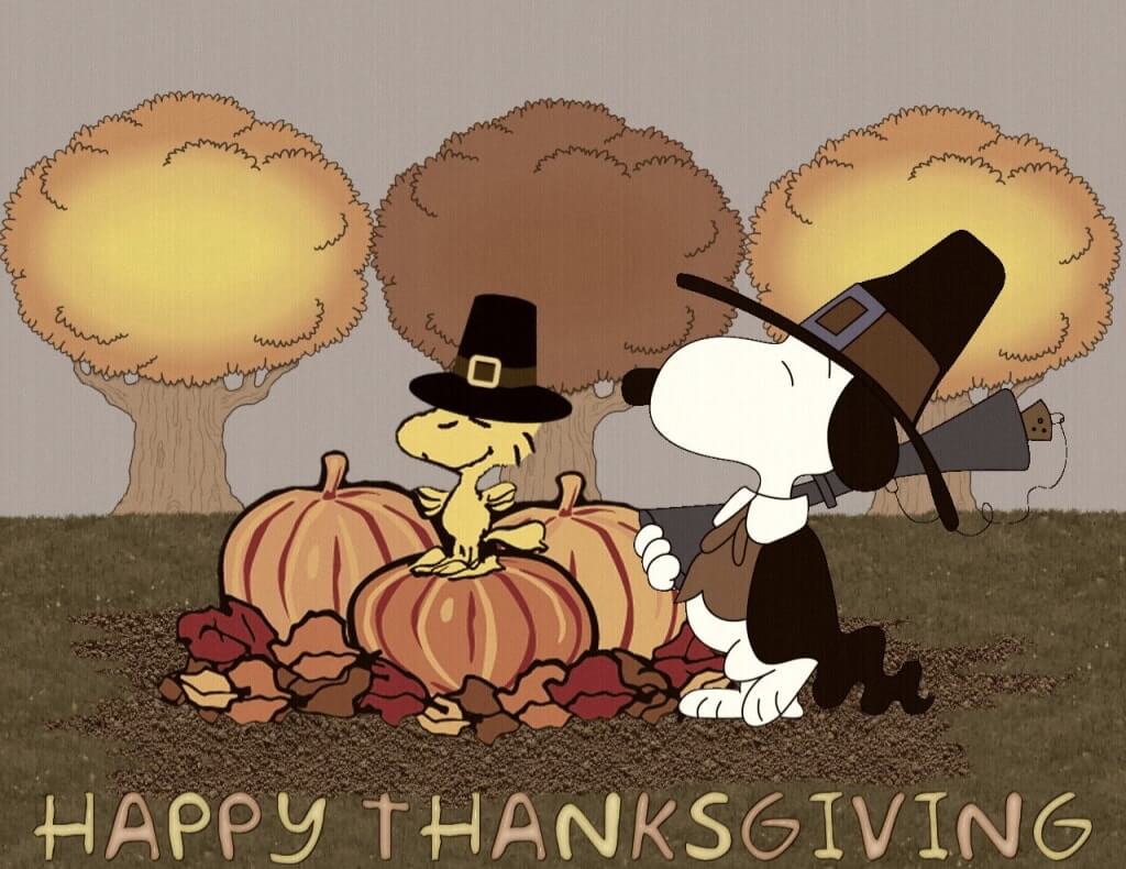 Funny Thanksgiving Wallpaper - Thanksgiving Wallpaper Desktop - HD Wallpaper 