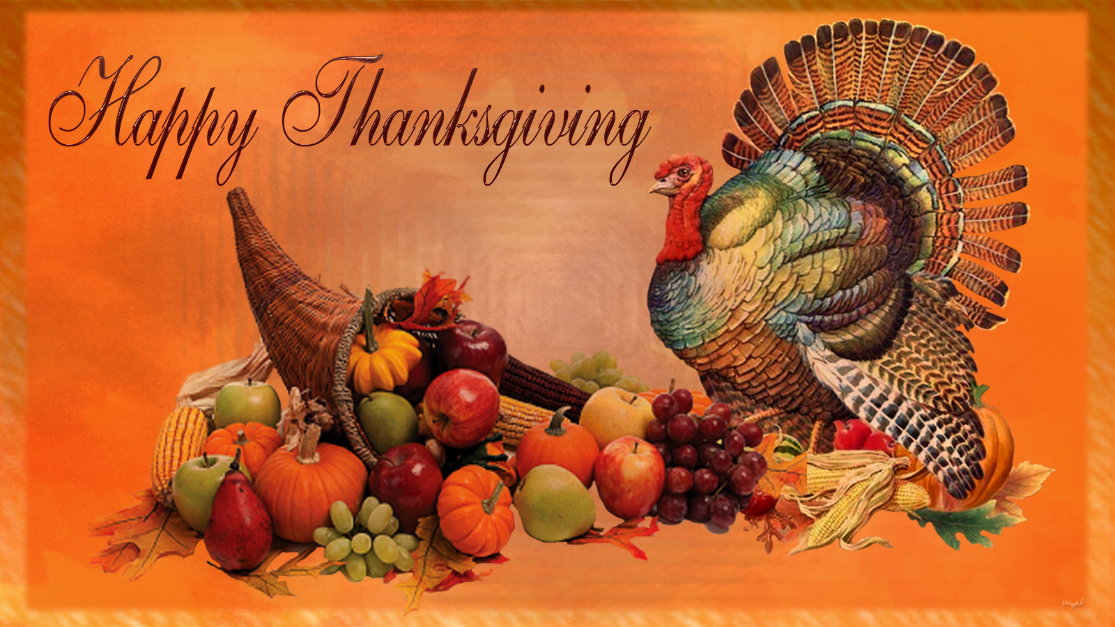Thanksgiving Wallpaper Hd - Turkeys For Happy Thanksgiving - HD Wallpaper 