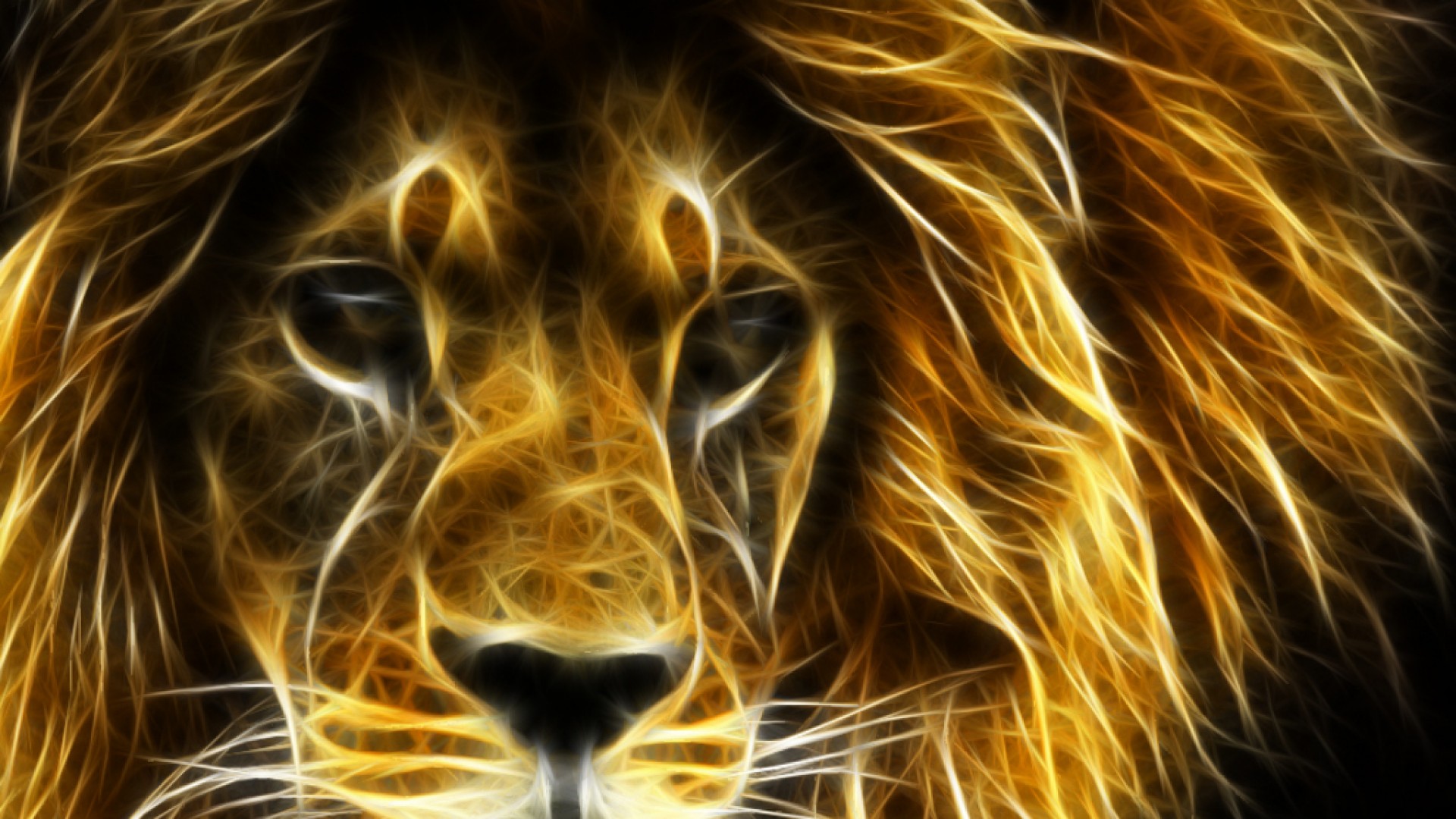 3d Wallpaper Download Lion Image Num 9