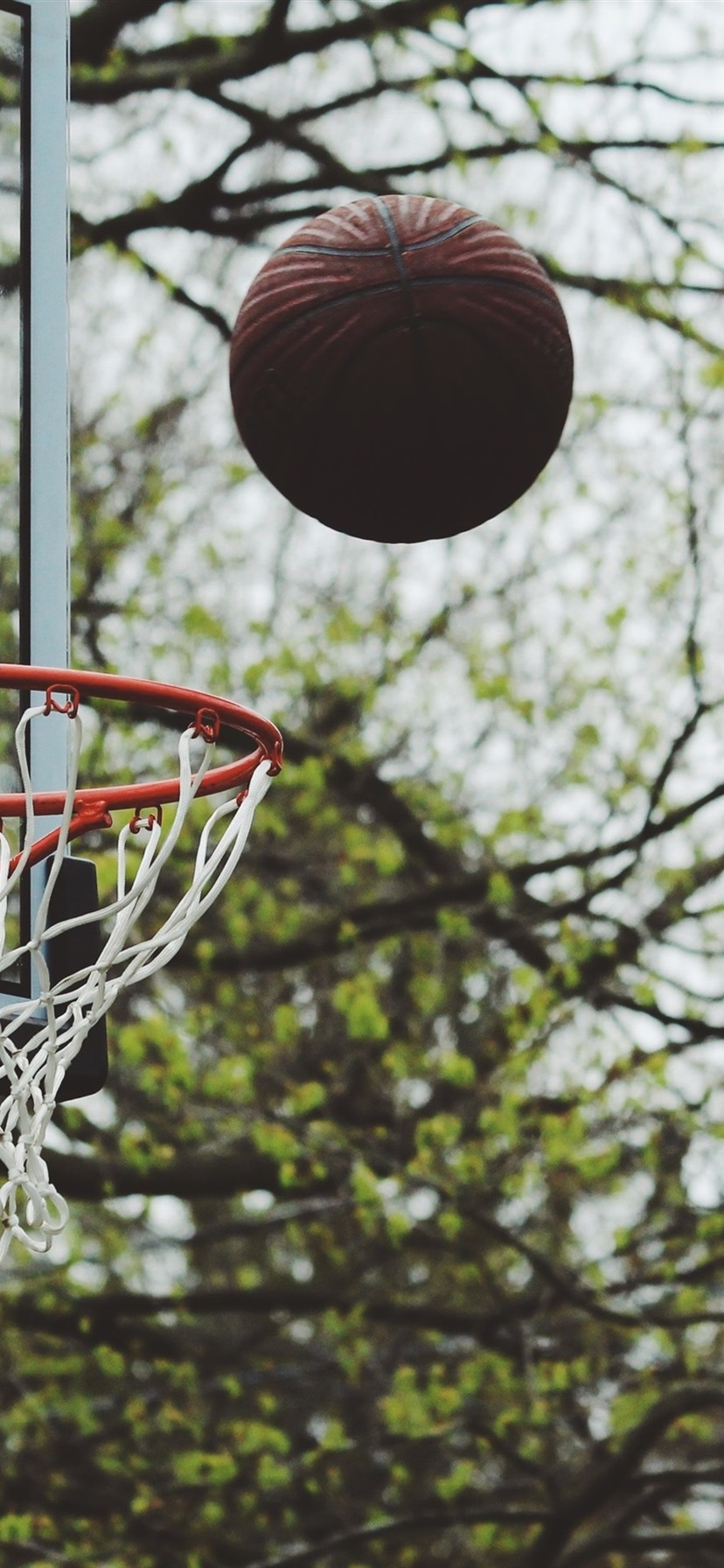 Fondos De Pantalla De Basquet - HD Wallpaper 