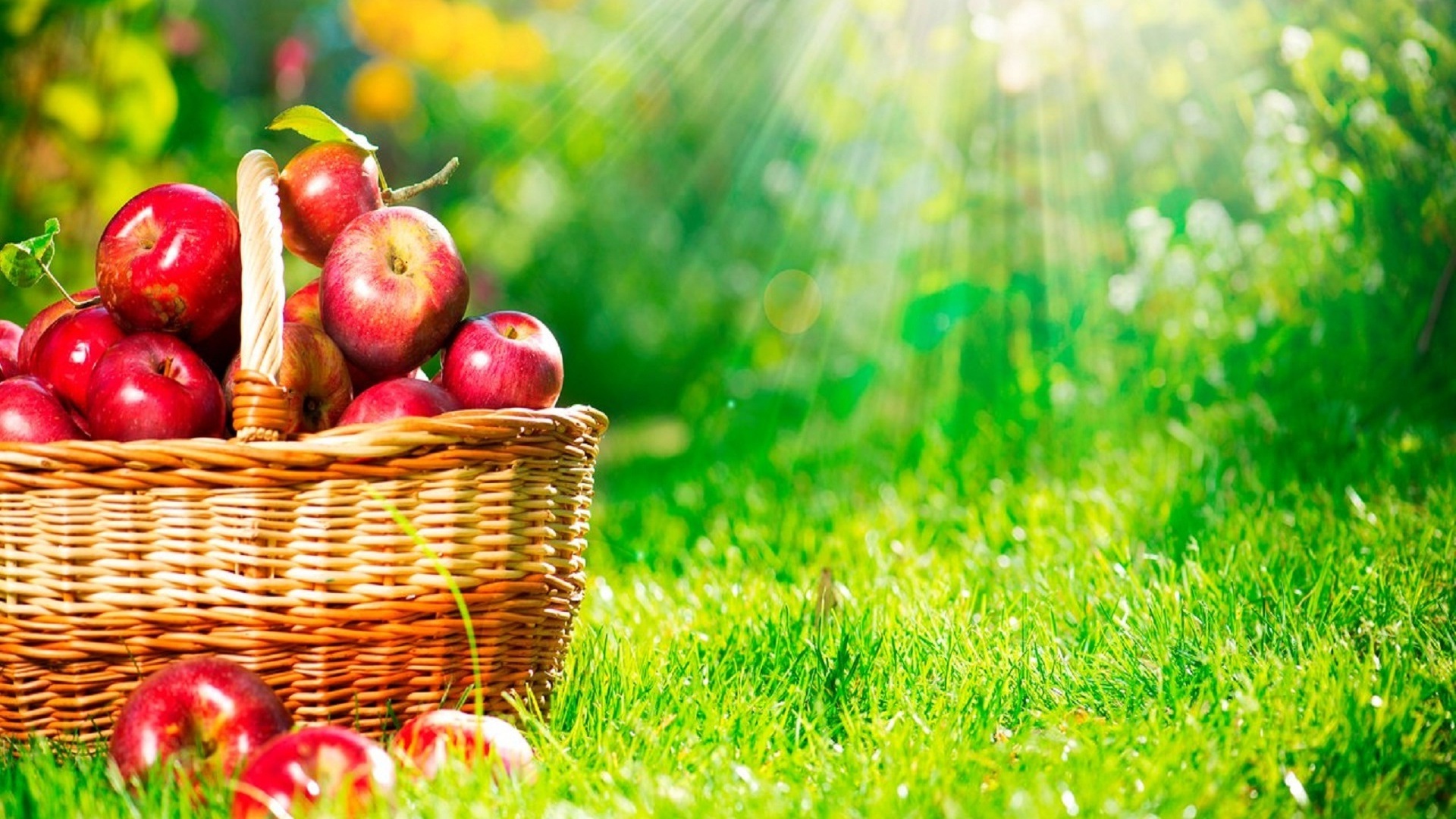Apple Basket Wallpaper - Fruits Basket Hd Backgrounds - HD Wallpaper 