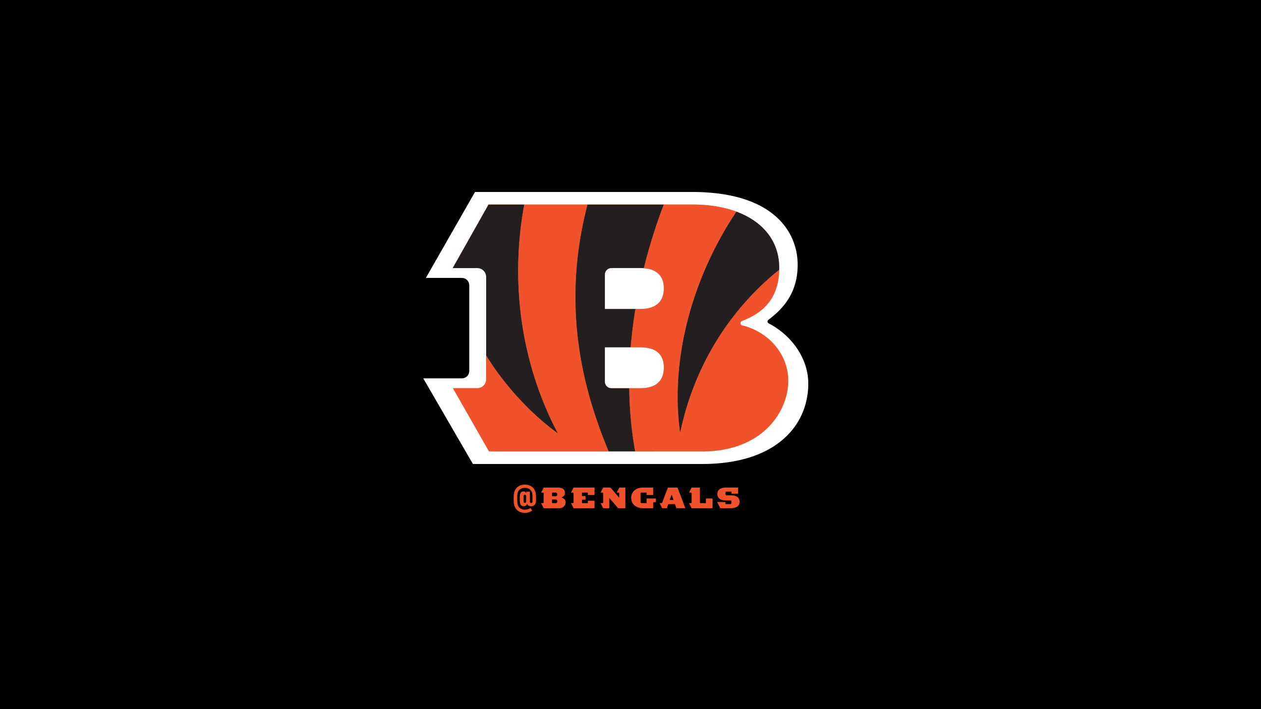 Cincinnati Bengals Banner - HD Wallpaper 