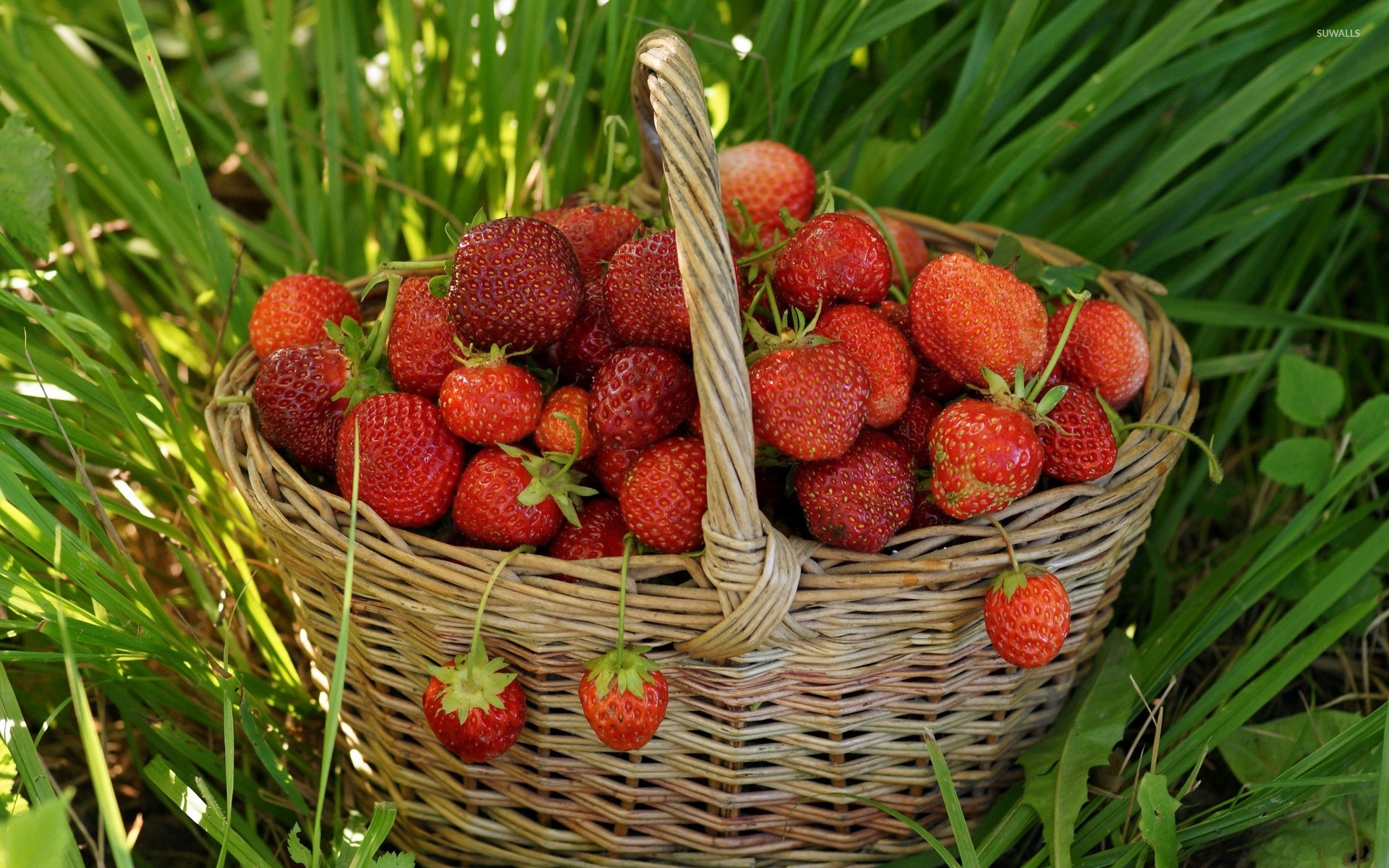 Strawberries In A Basket - HD Wallpaper 