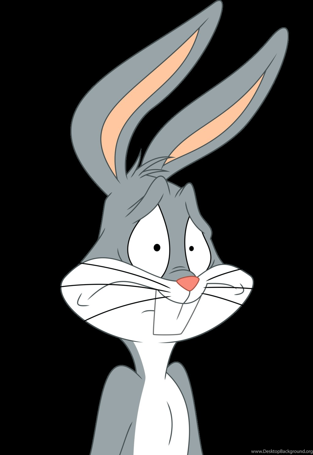 Bugs Bunny - บัก บัน นี่ วอลเปเปอร์ - HD Wallpaper 