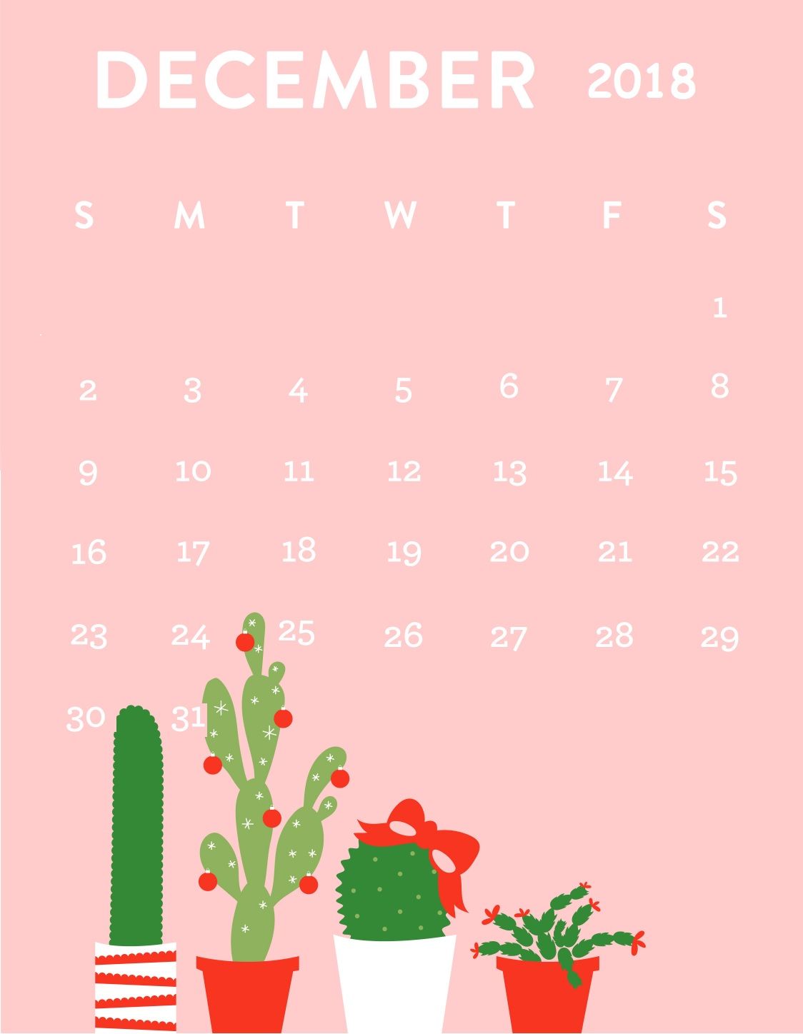 Christmas Cactus Wallpaper Iphone - HD Wallpaper 